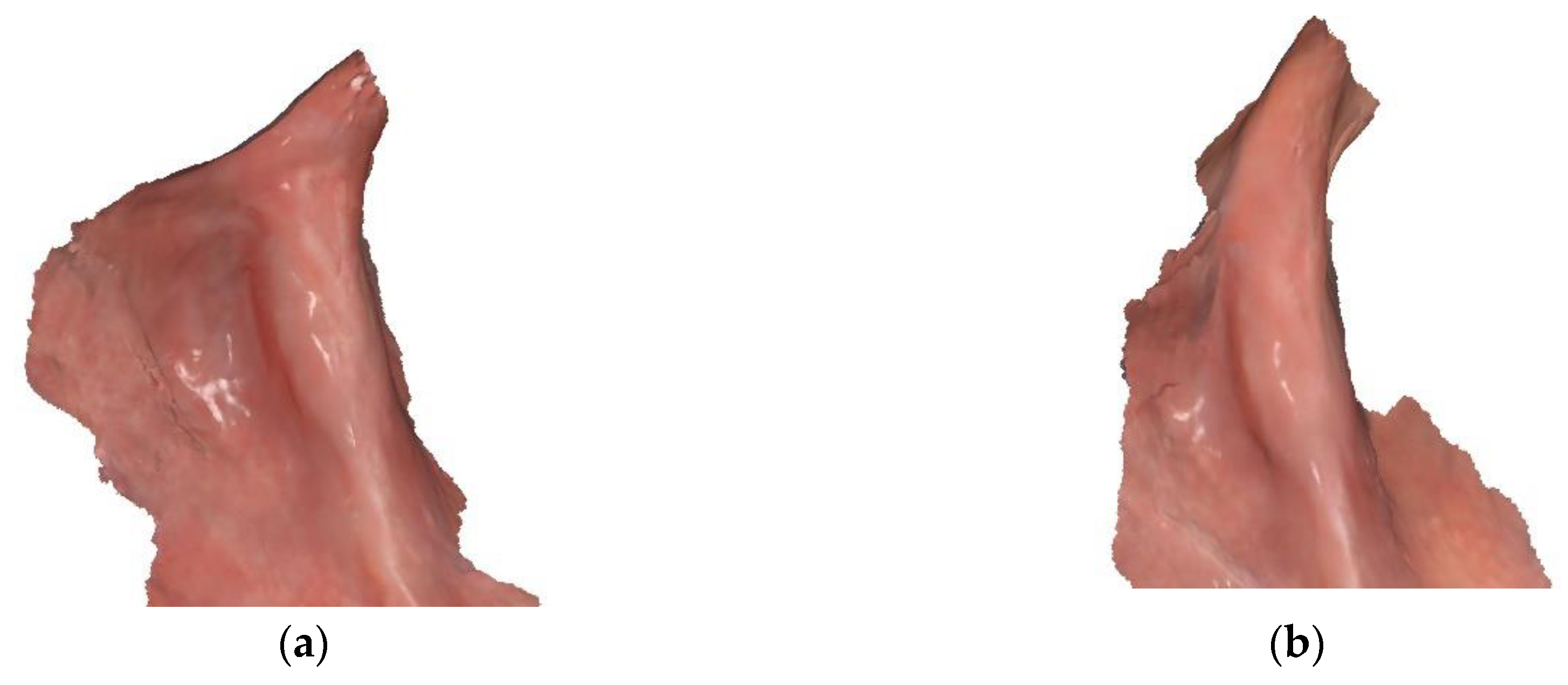 Preprints 140905 g006