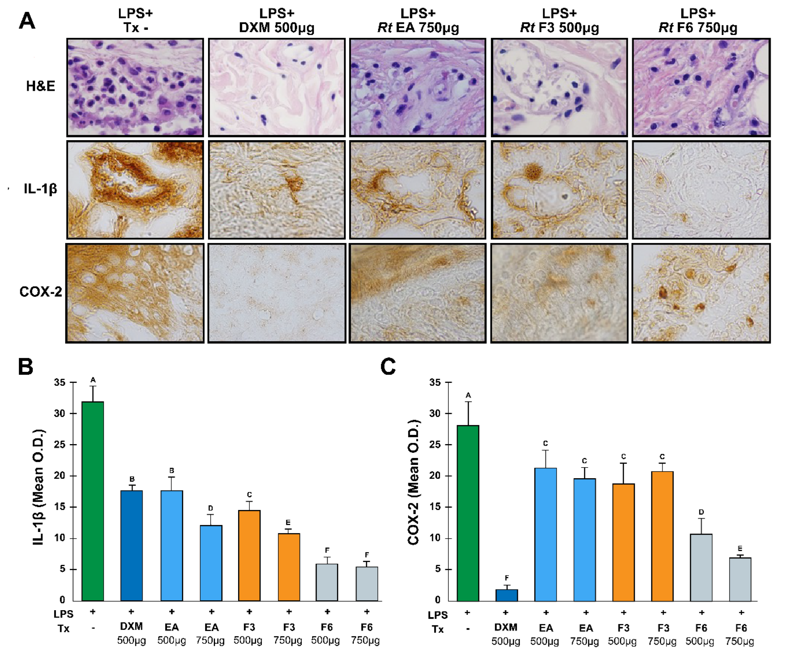 Preprints 116845 g004
