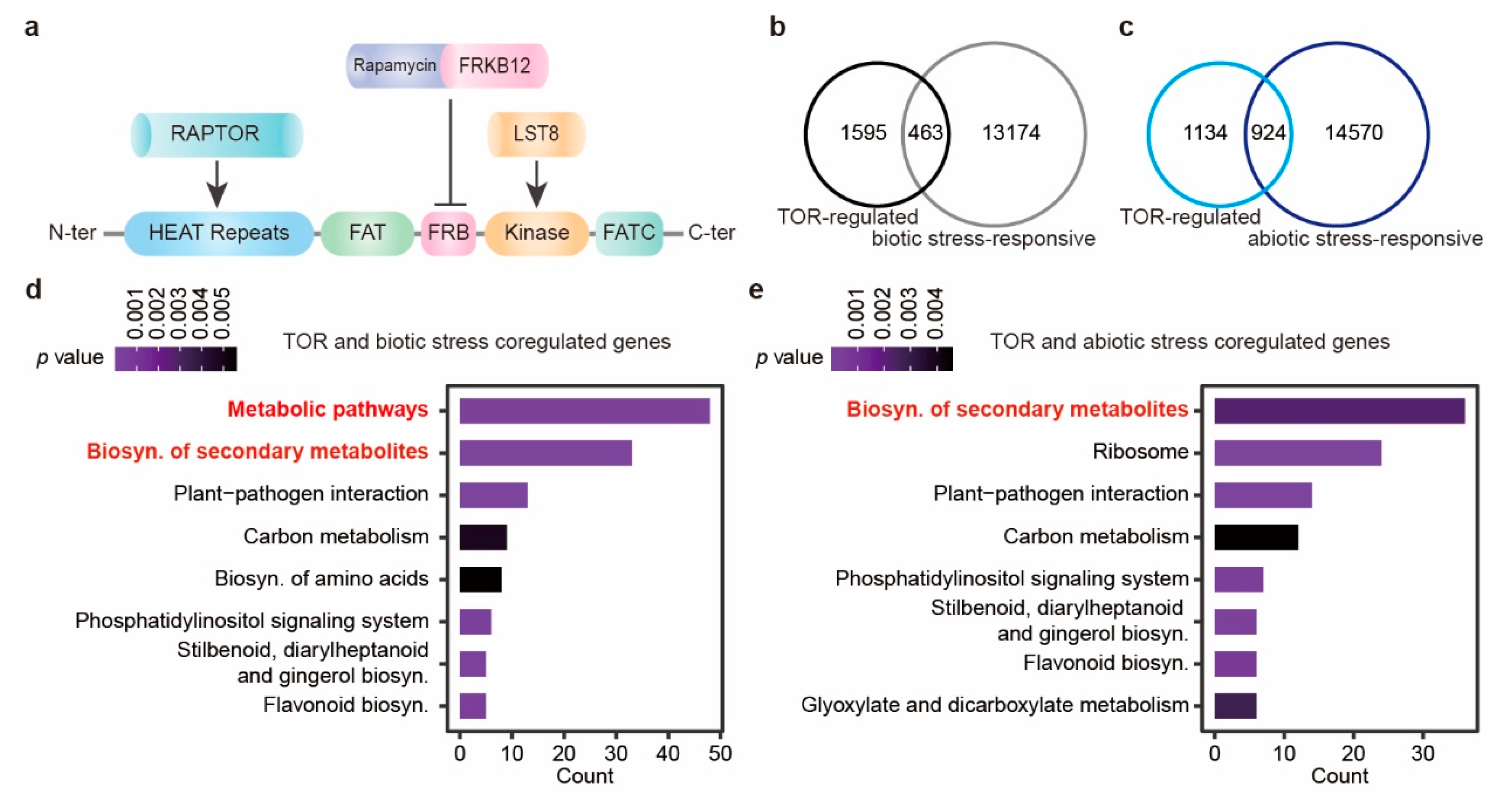 Preprints 146341 g001