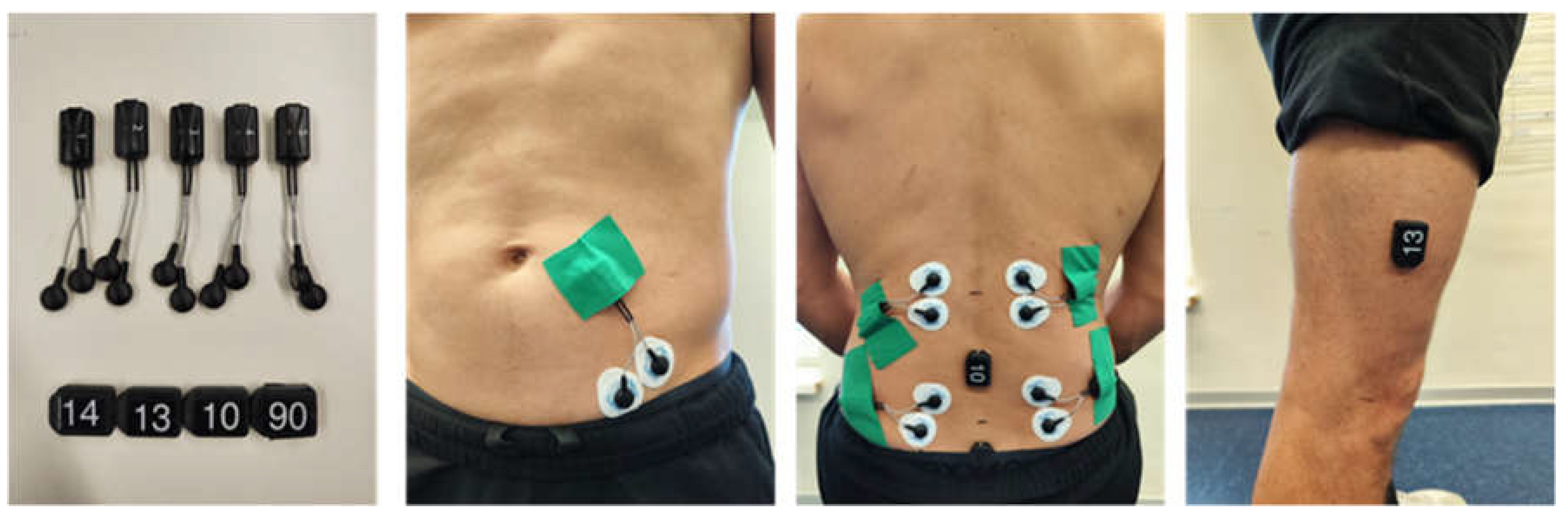 Preprints 195384 g001