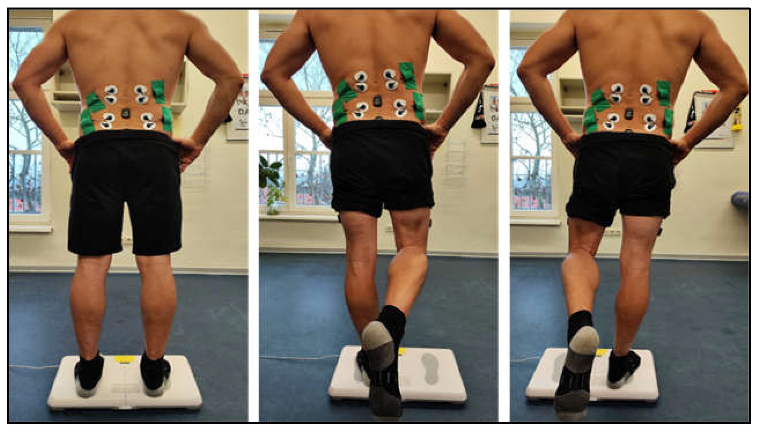 Preprints 195384 g002