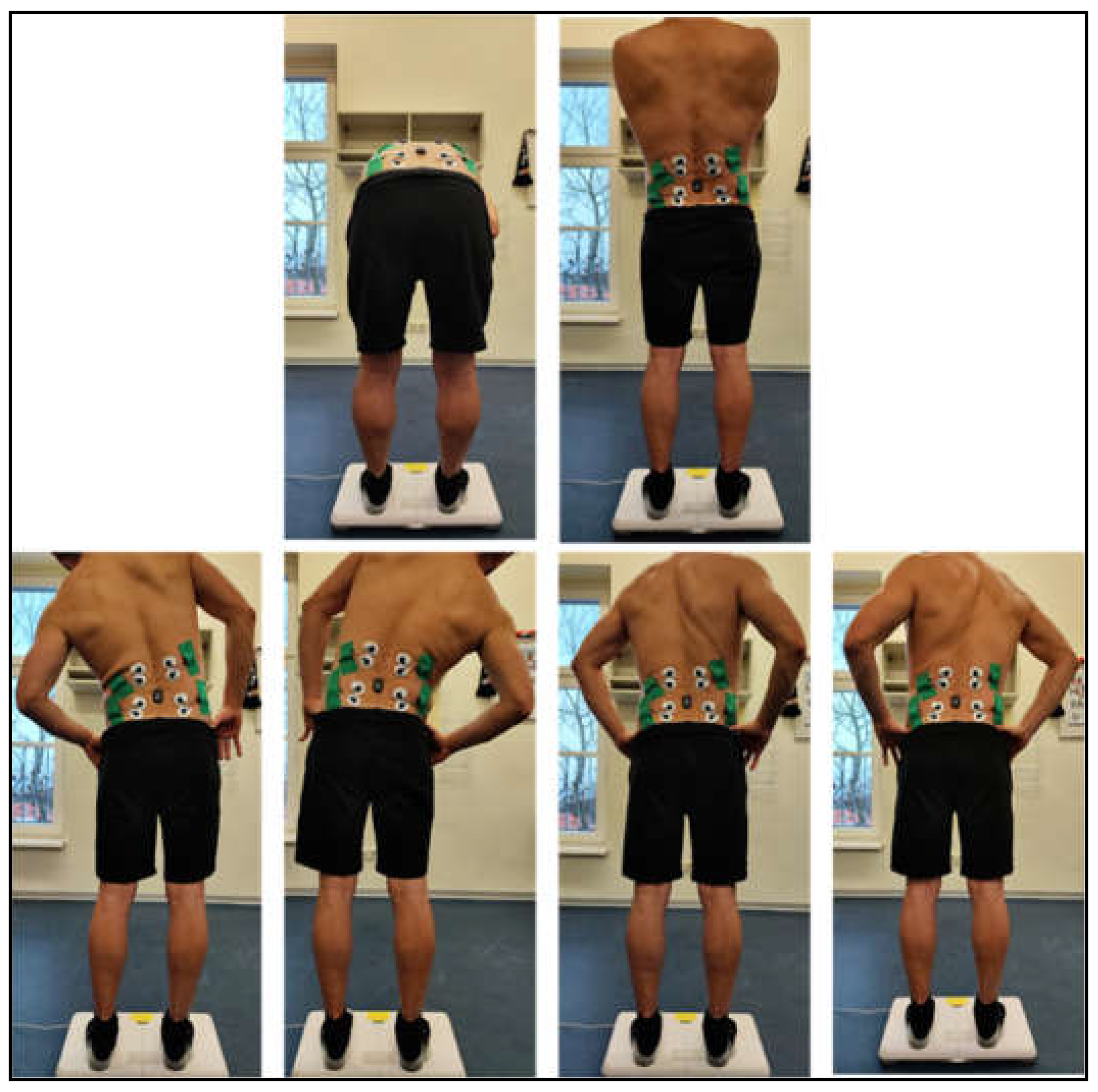 Preprints 195384 g003