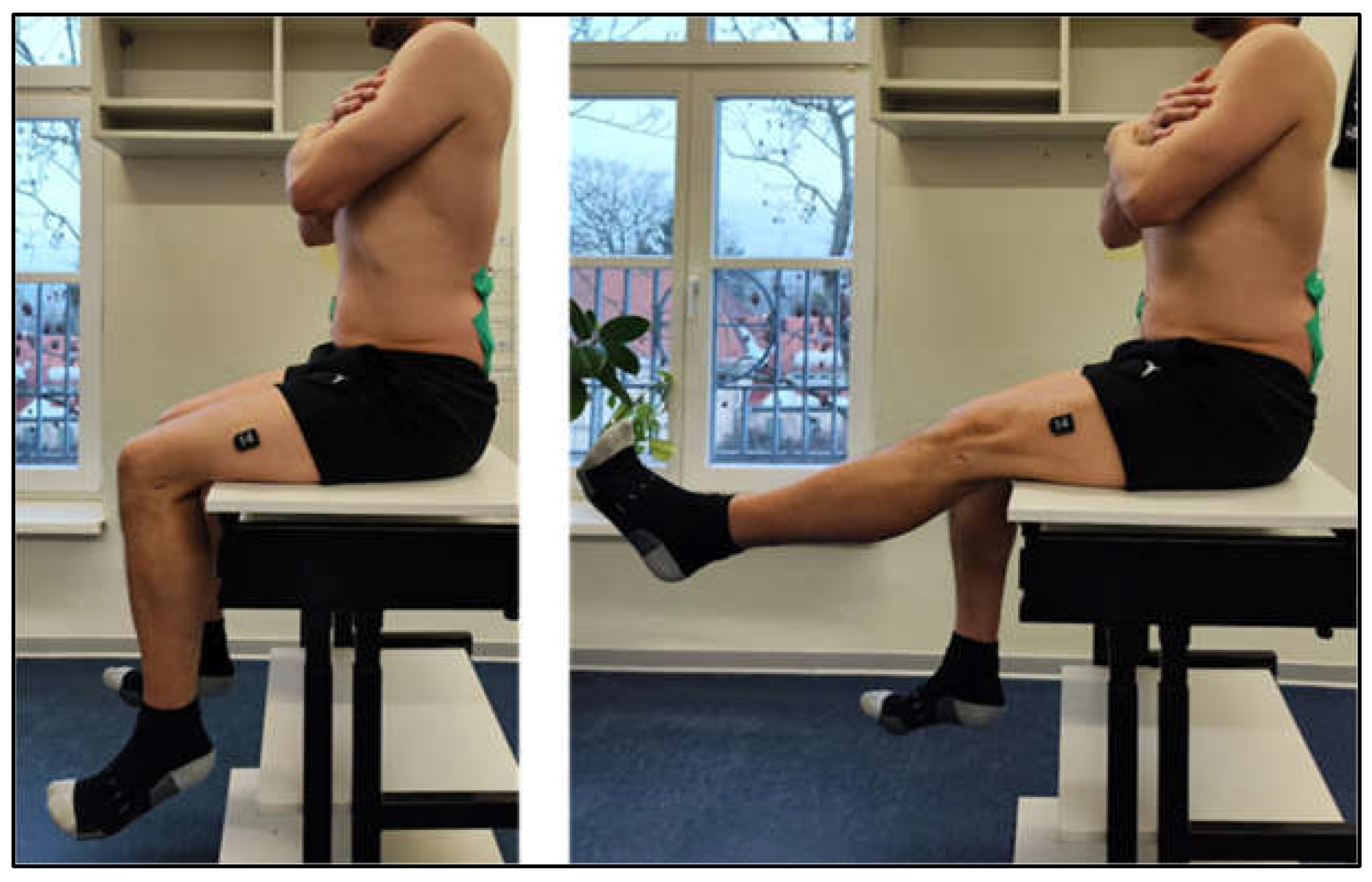 Preprints 195384 g005