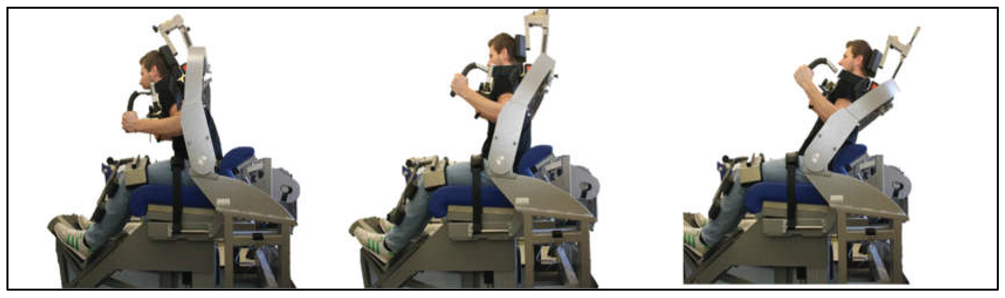 Preprints 195384 g006