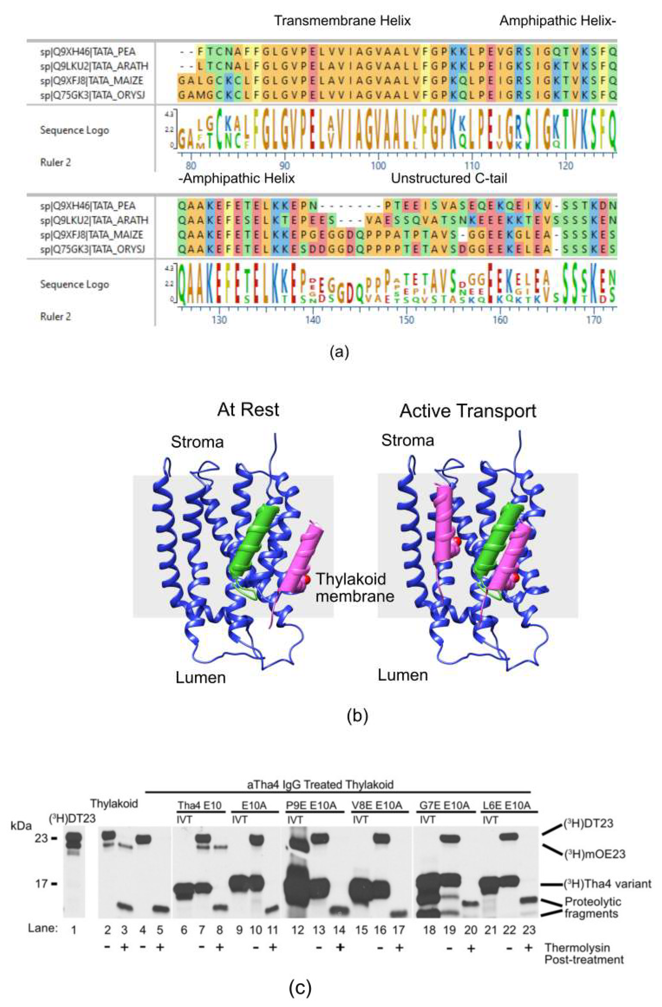 Preprints 180350 g001
