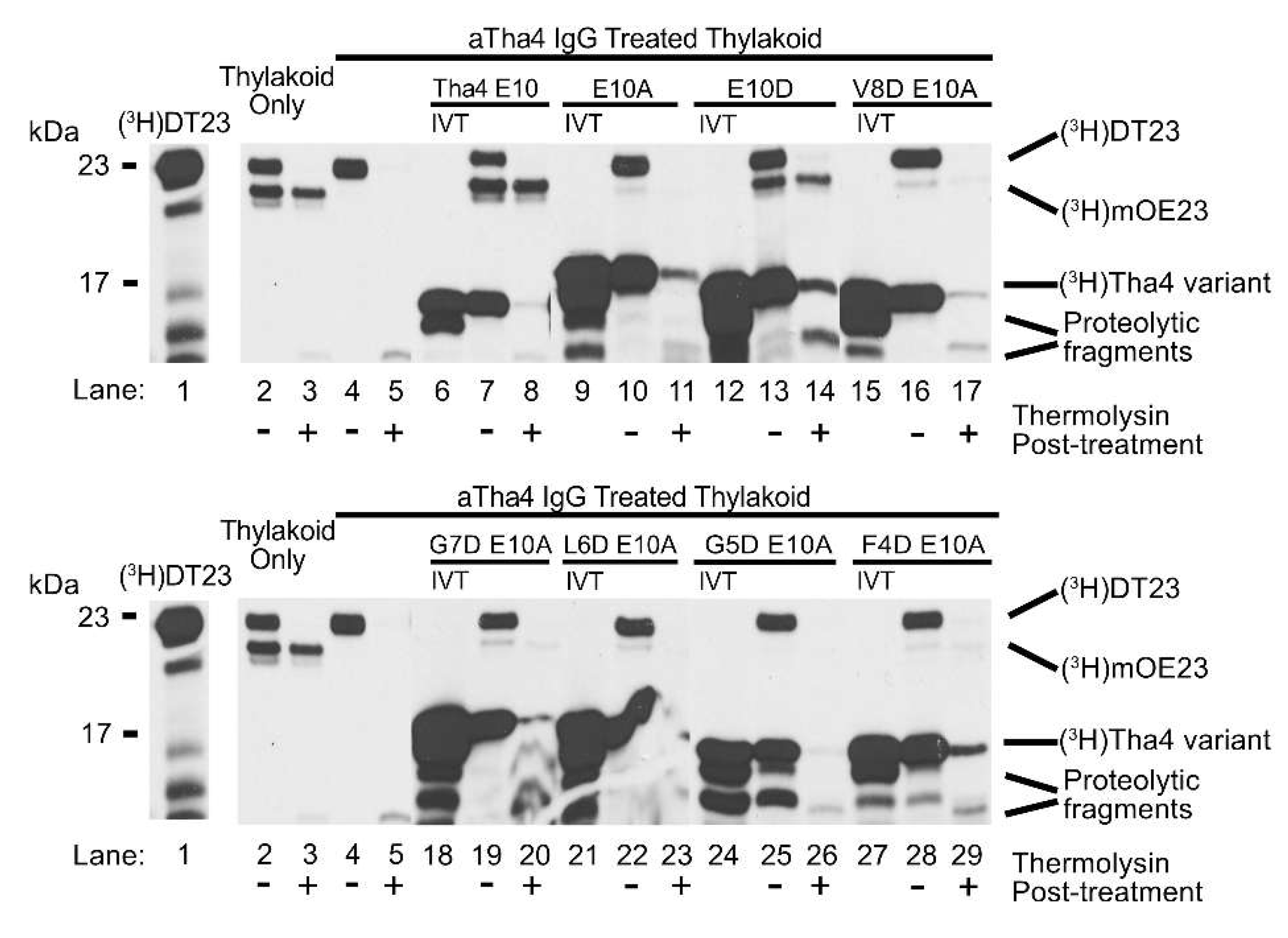 Preprints 180350 g002