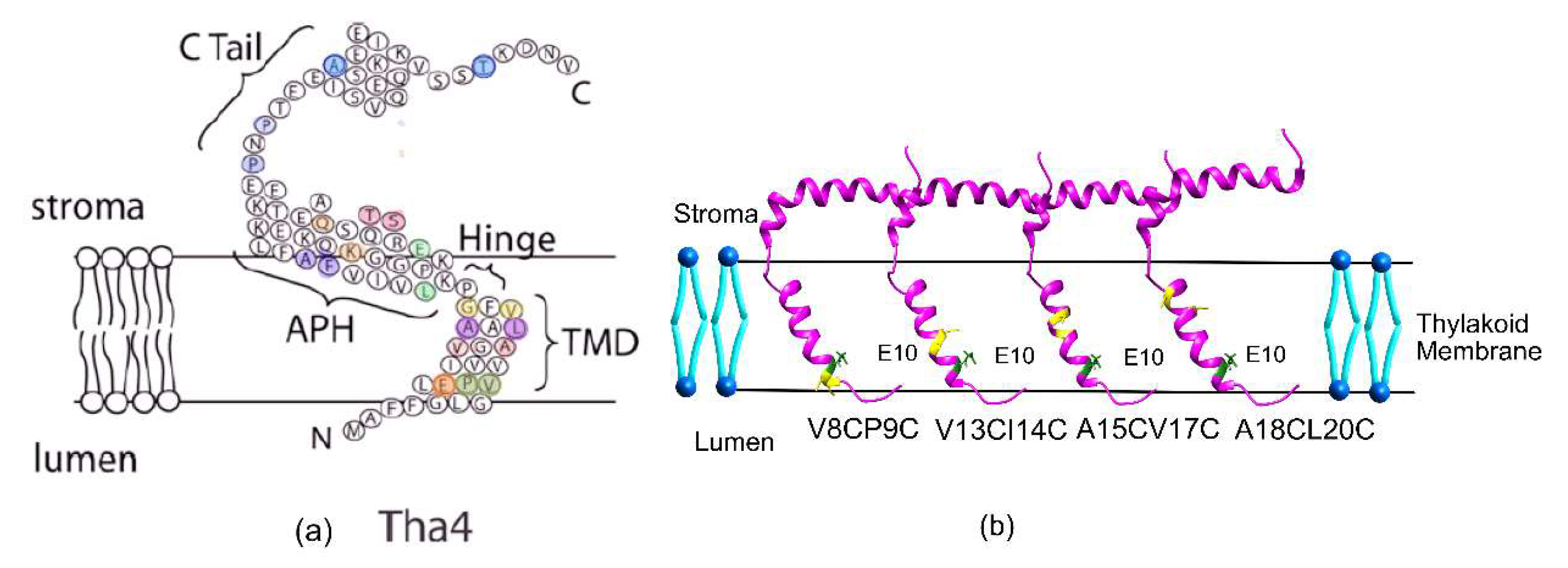 Preprints 180350 g003