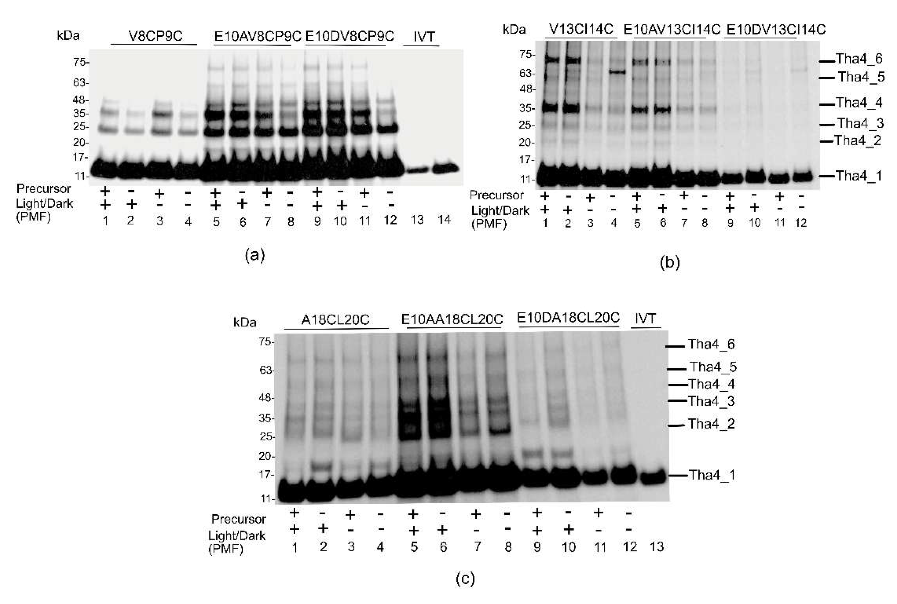 Preprints 180350 g004