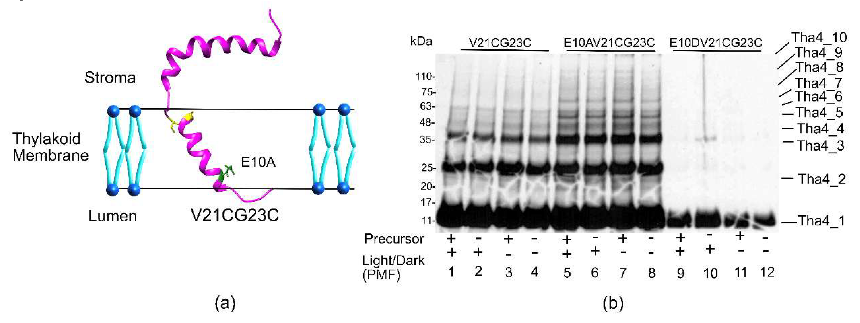 Preprints 180350 g005
