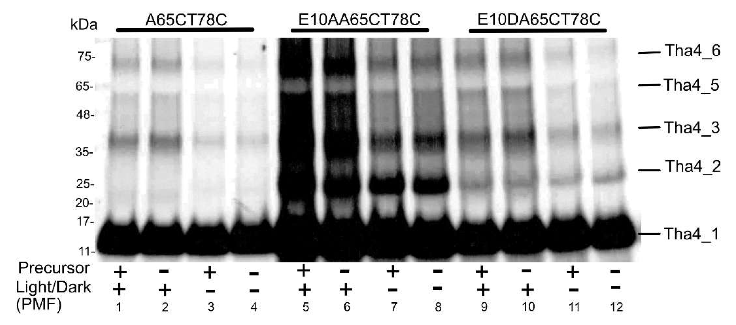 Preprints 180350 g007