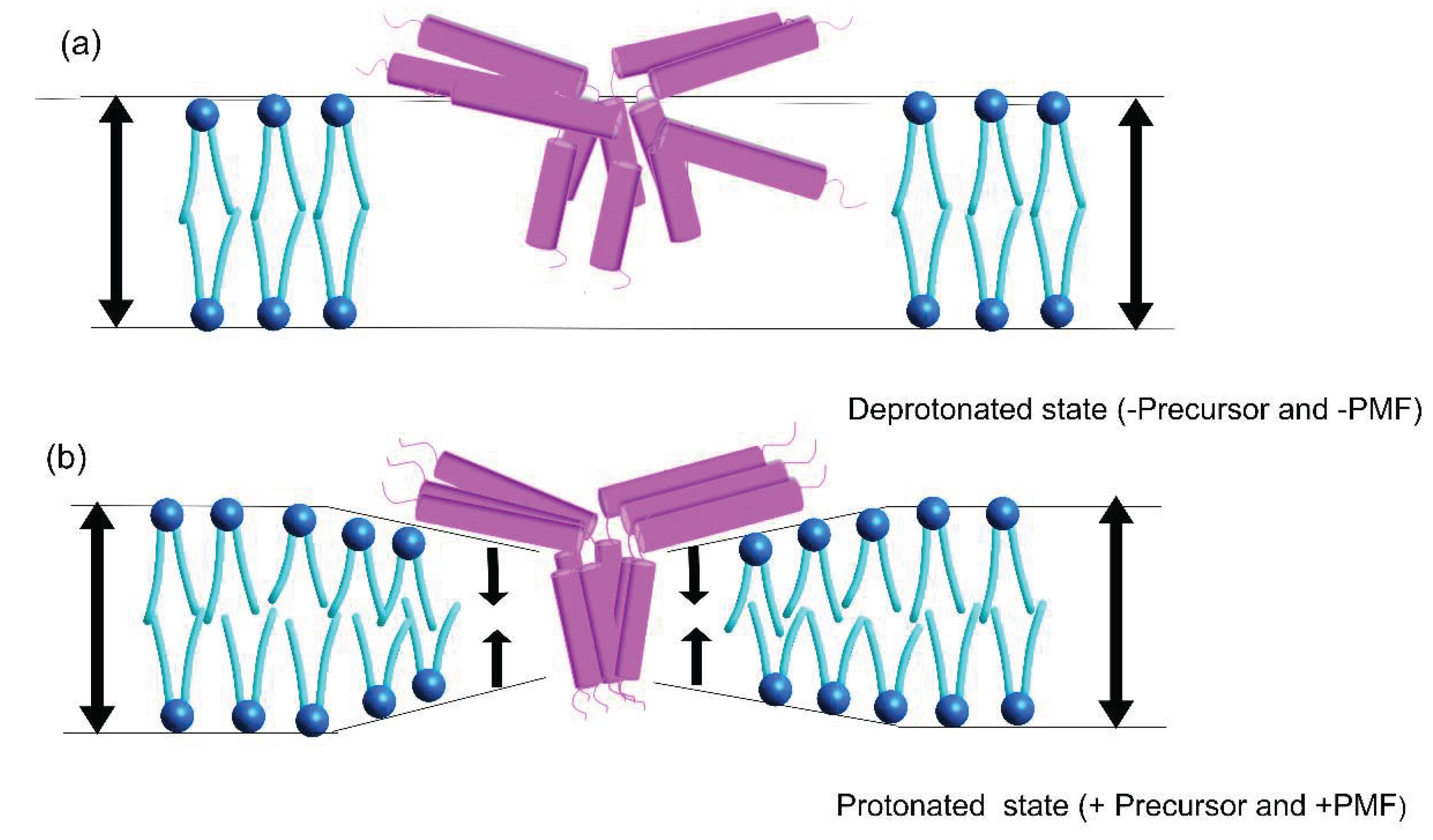 Preprints 180350 g009