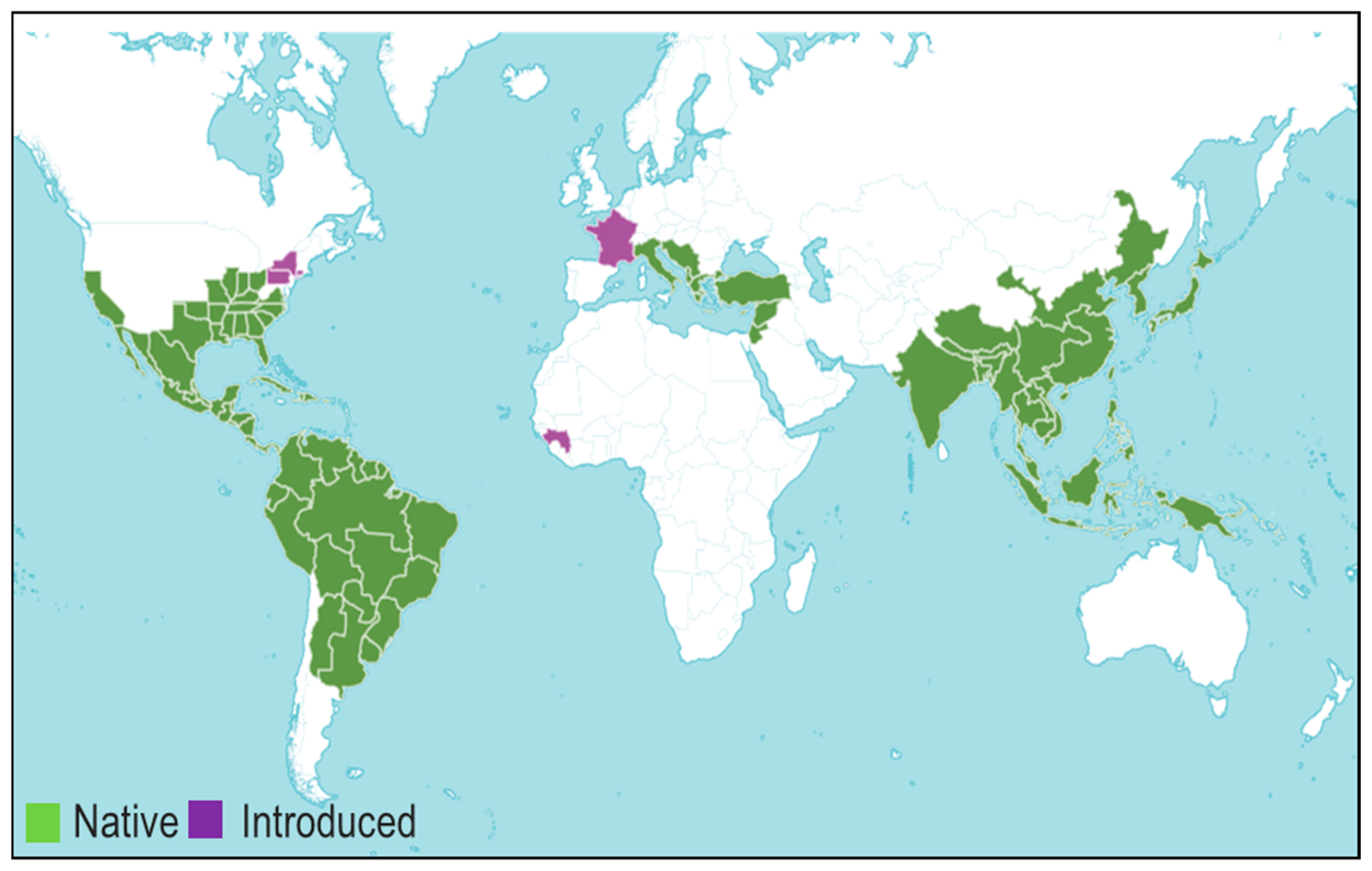ちな 仮面ライダー ソフビ フィギュア ソフビ魂 Vol.20 仮面ライダー