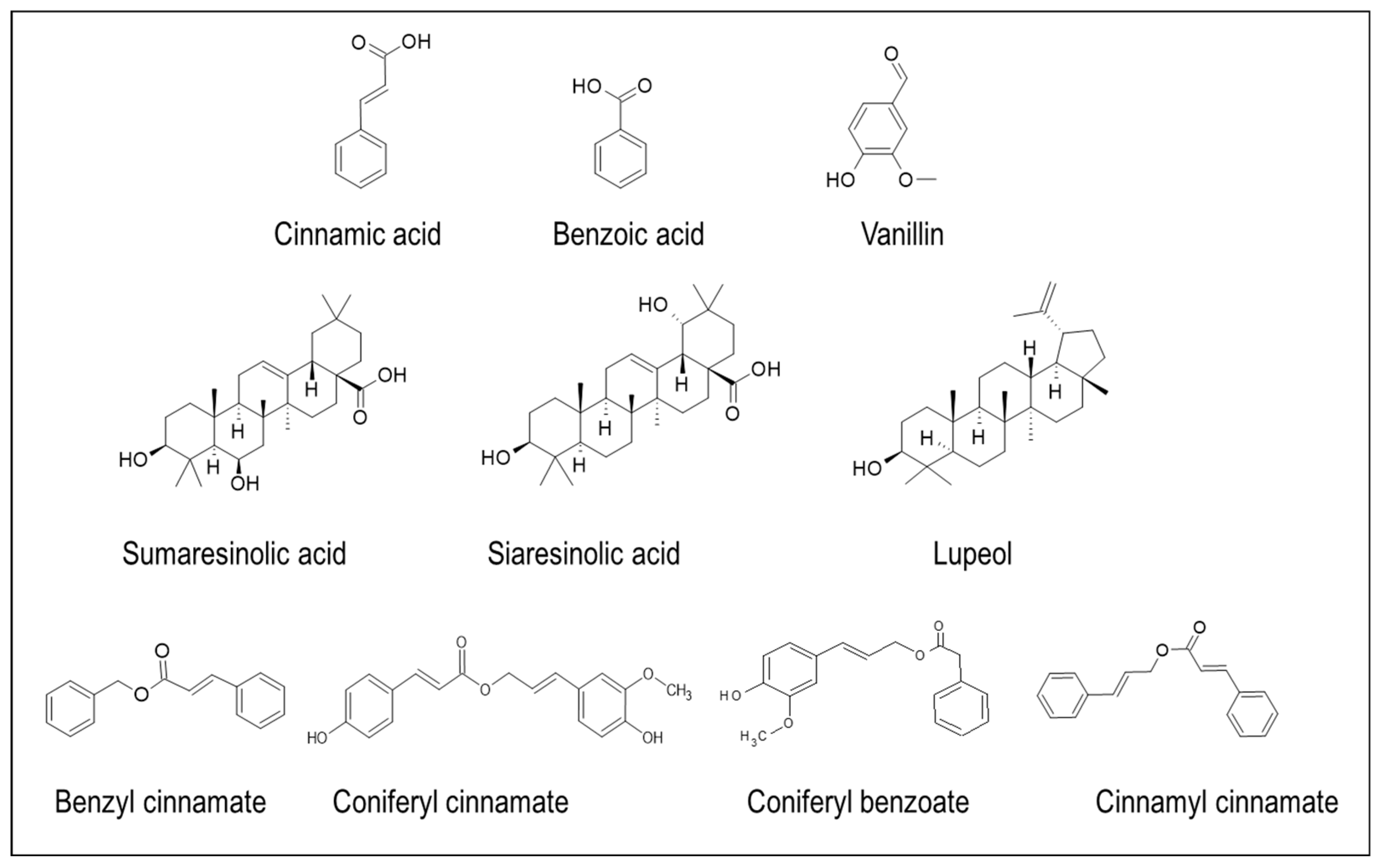 ちな Vintage pear shaped green moss agate engagement ring set 14k