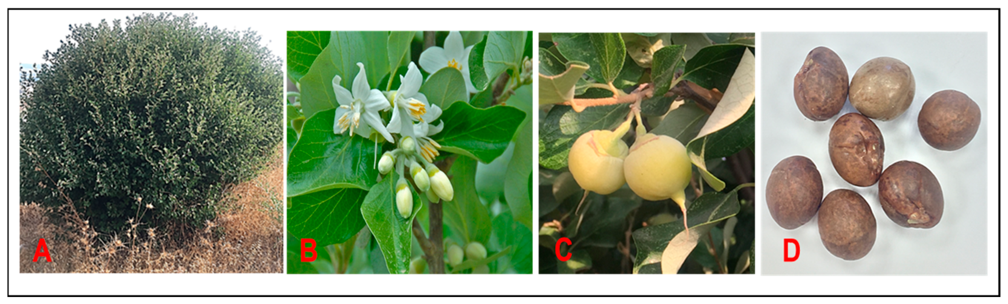 Preprints 144000 g003