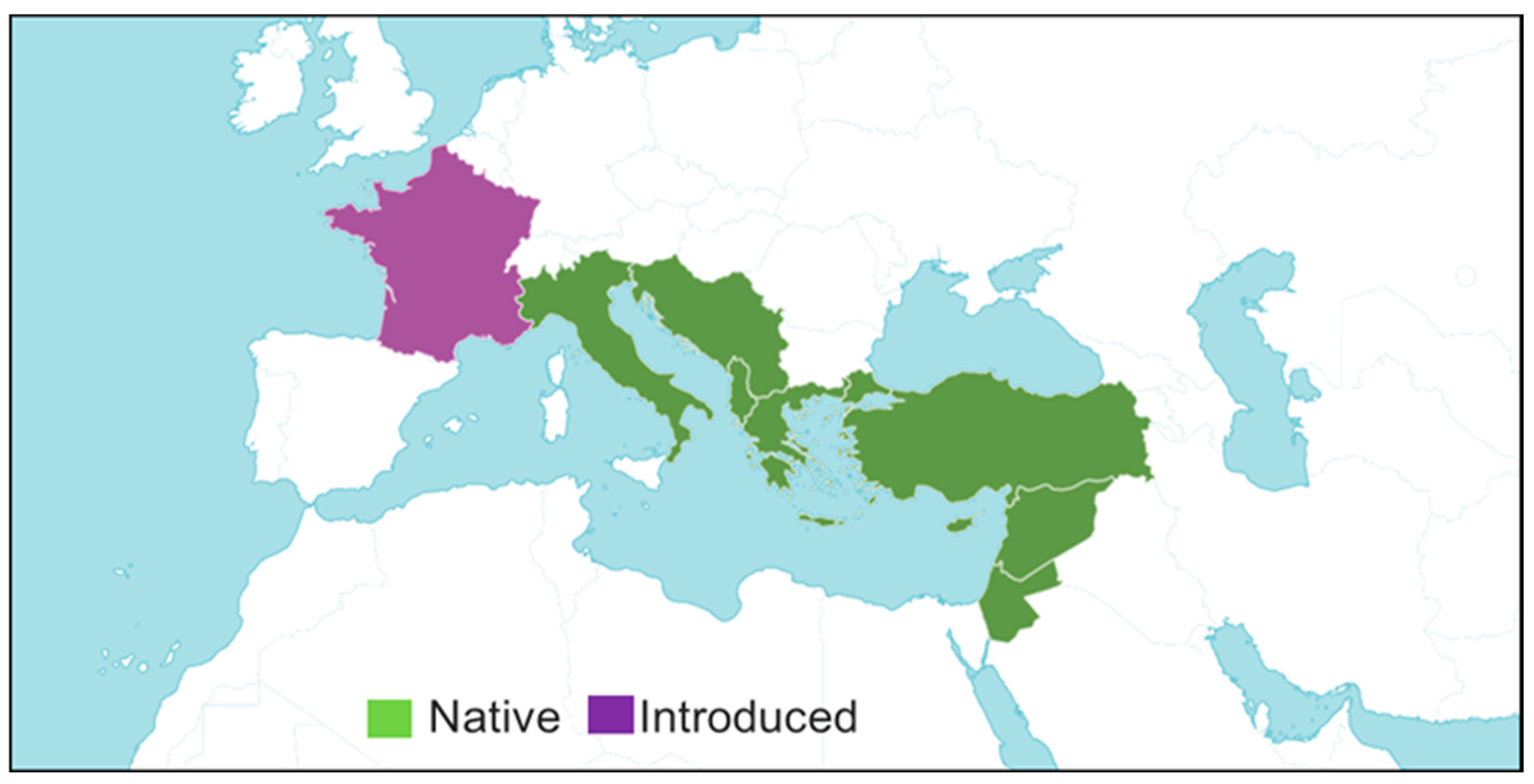 Preprints 144000 g004