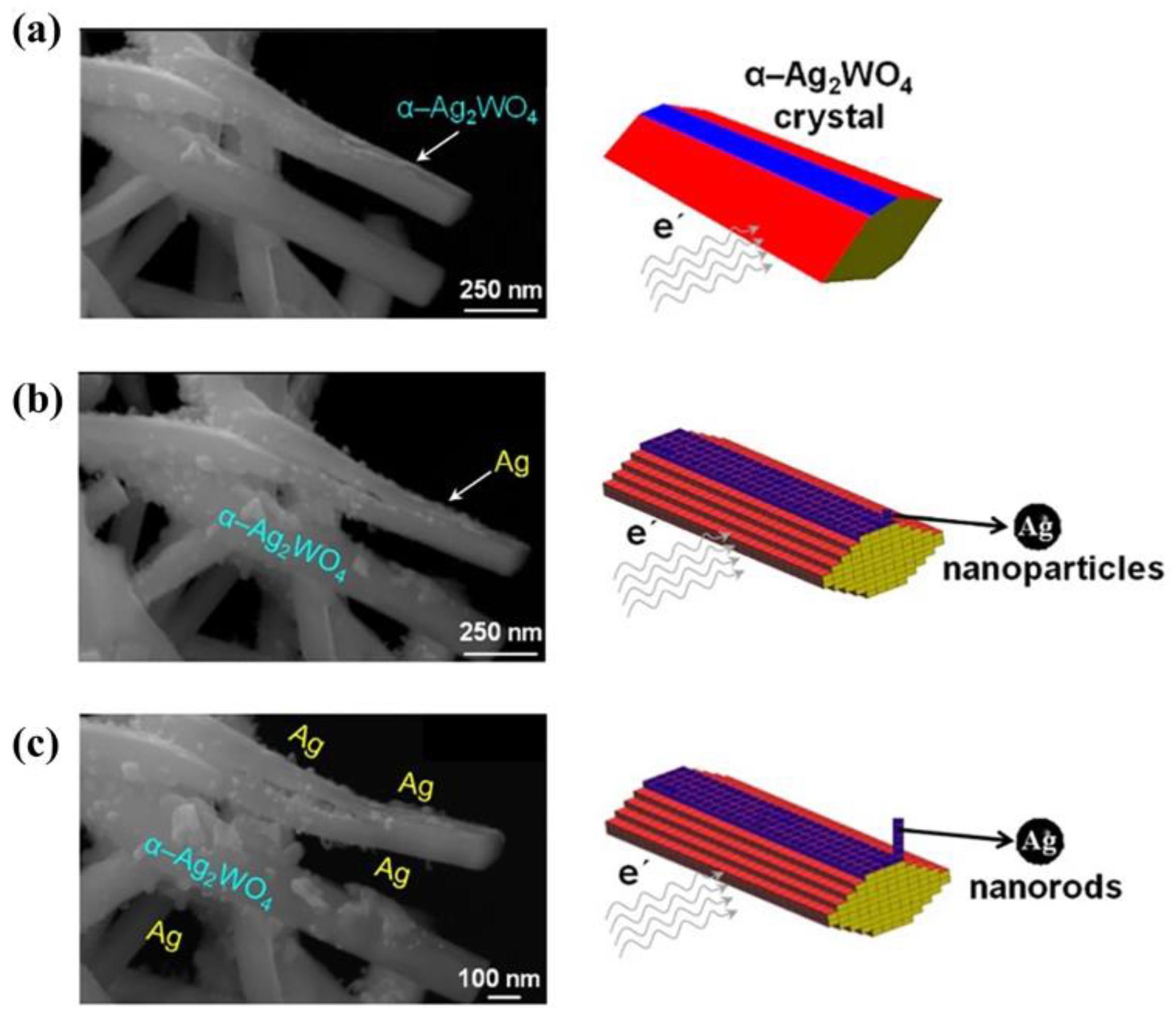 Preprints 140758 g003