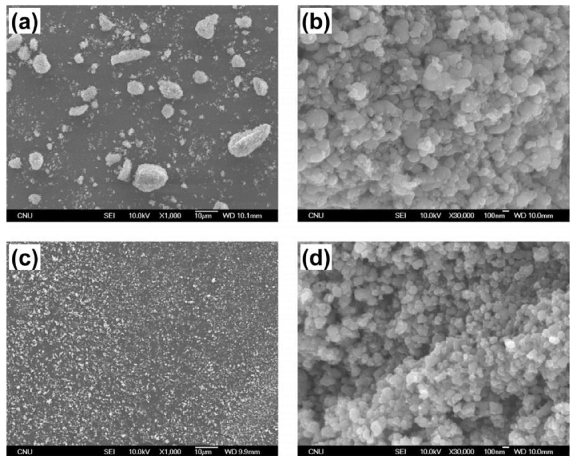 Preprints 140758 g006