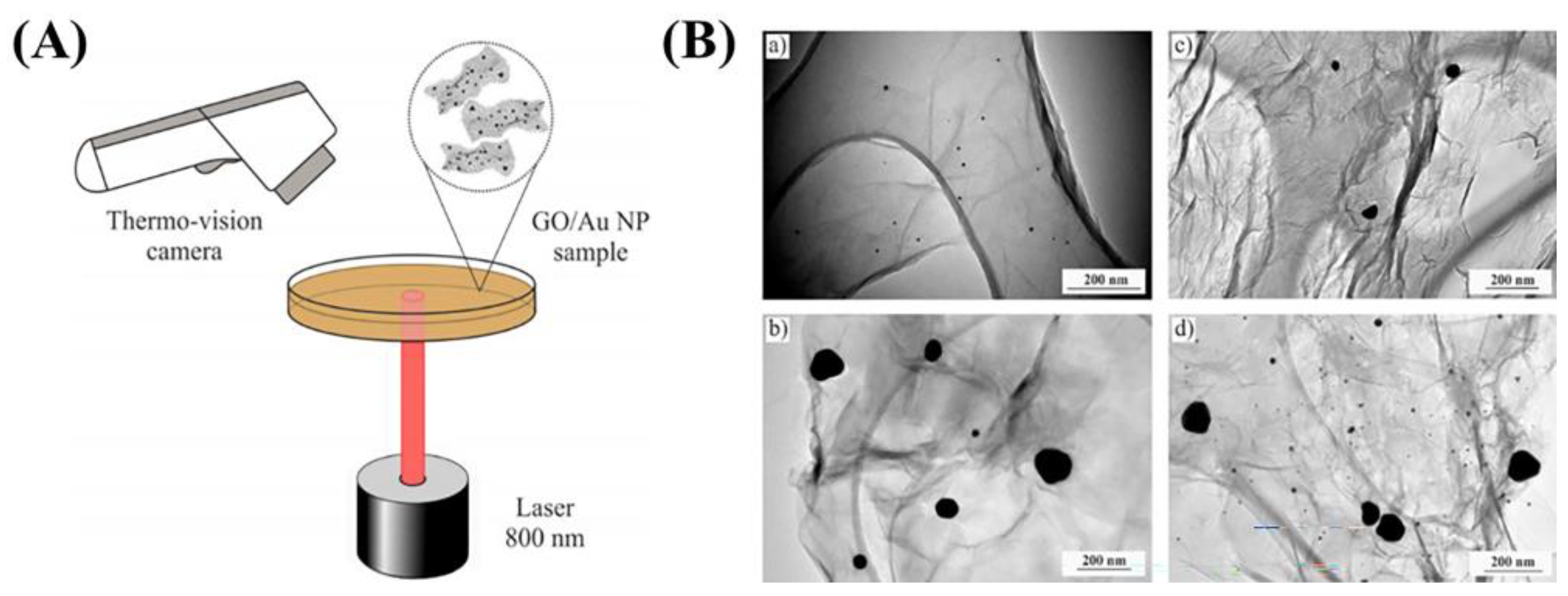 Preprints 140758 g008