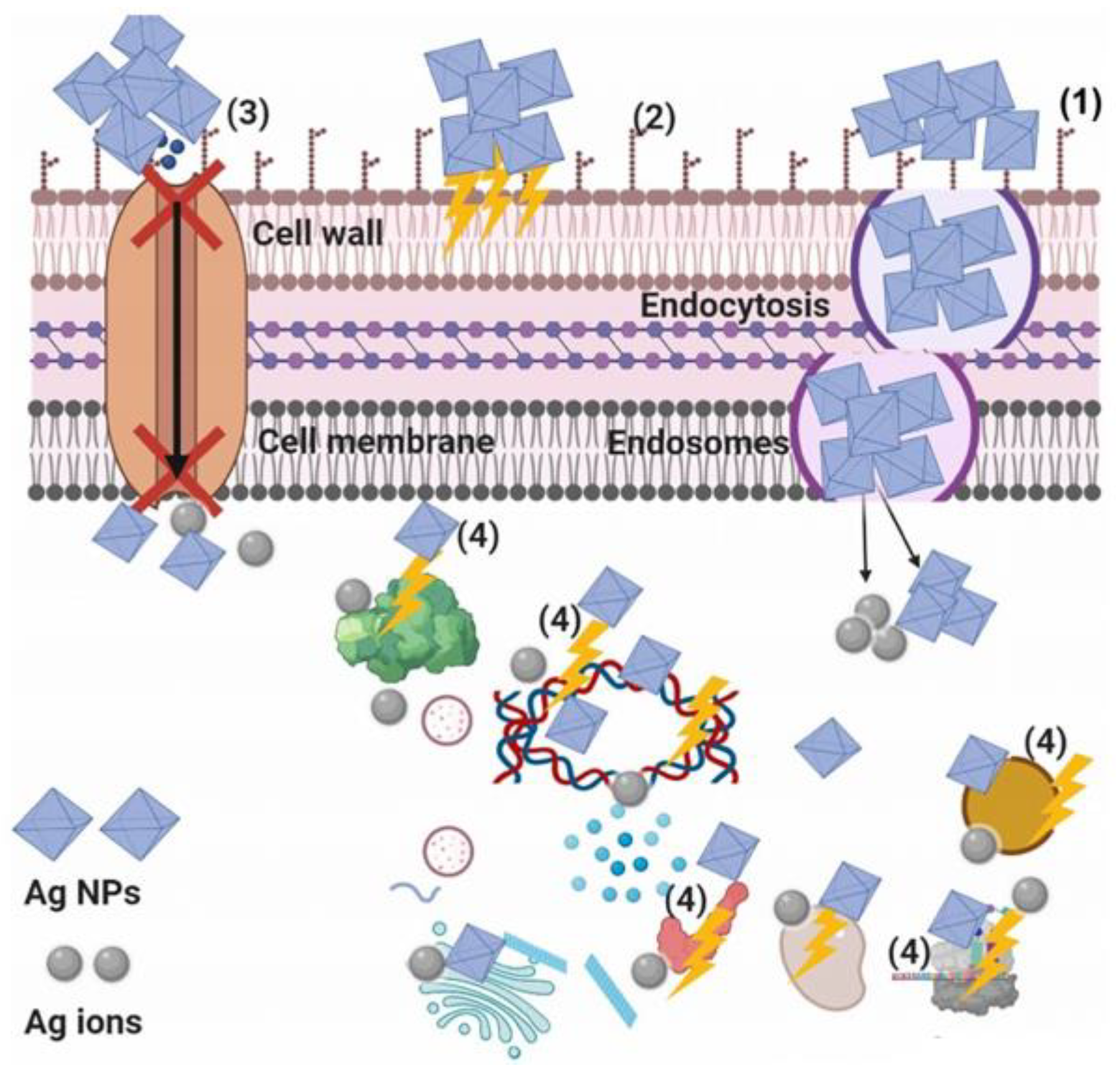 Preprints 140758 g010