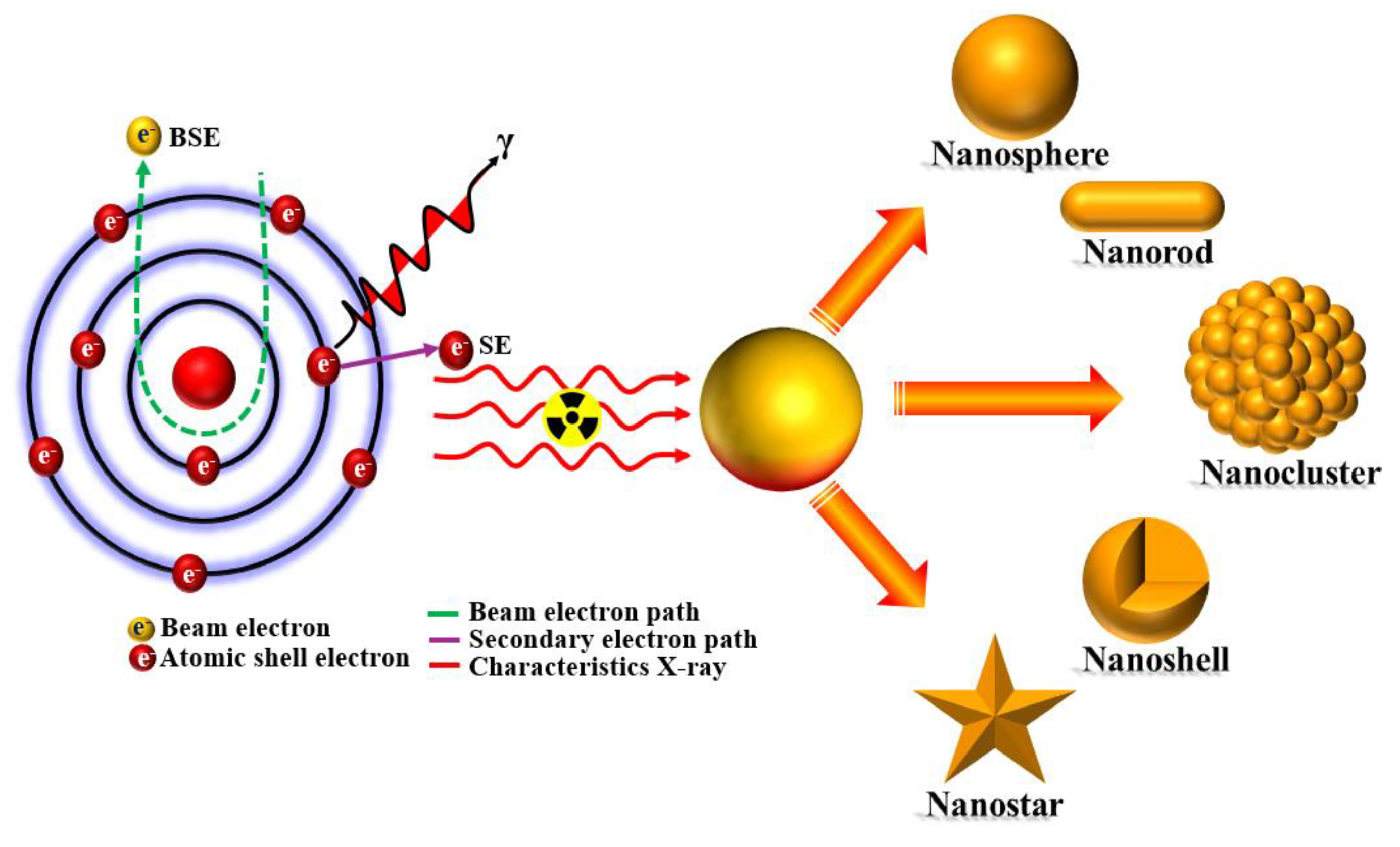 Preprints 140758 i001