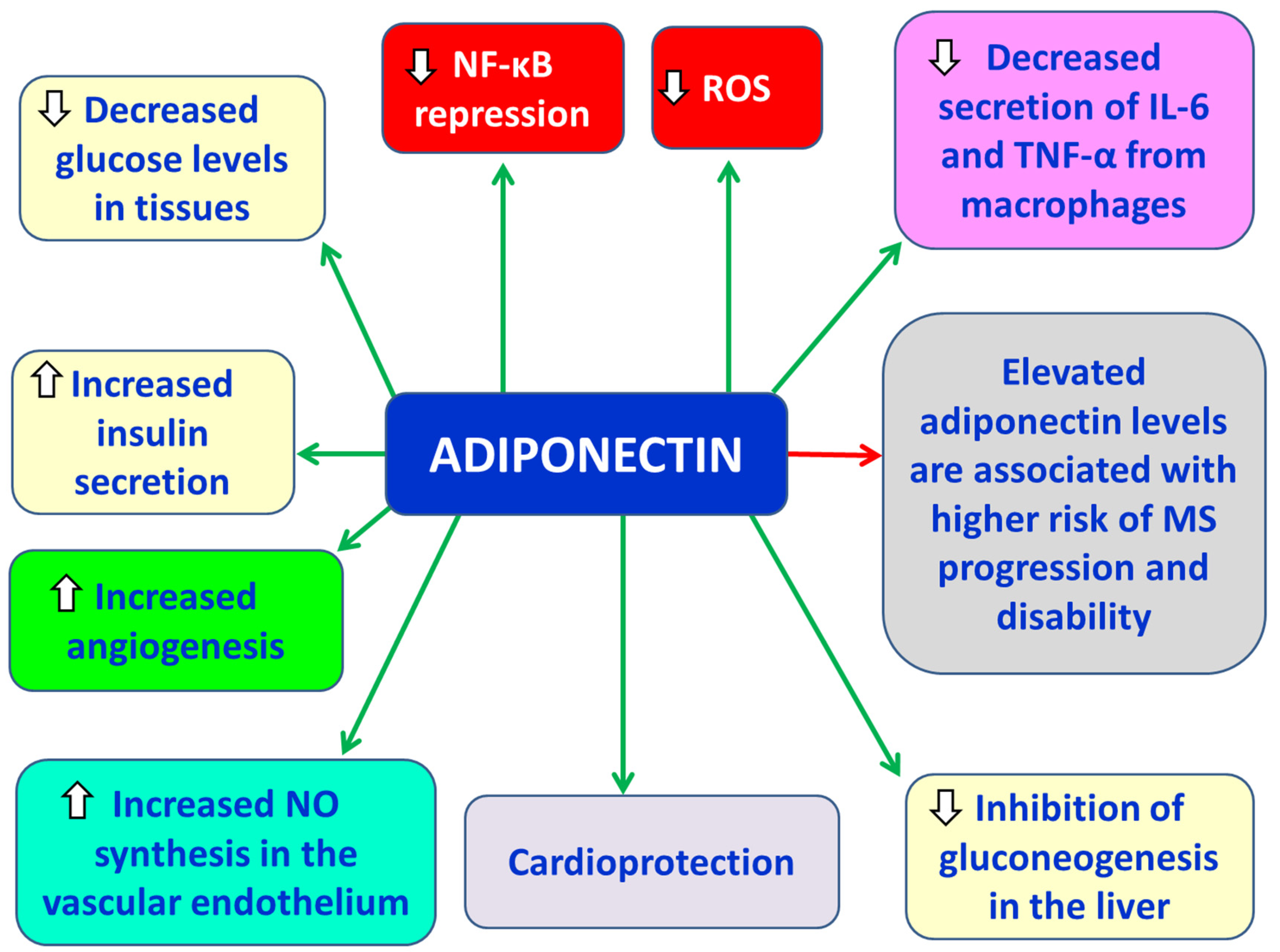 Preprints 179193 g002