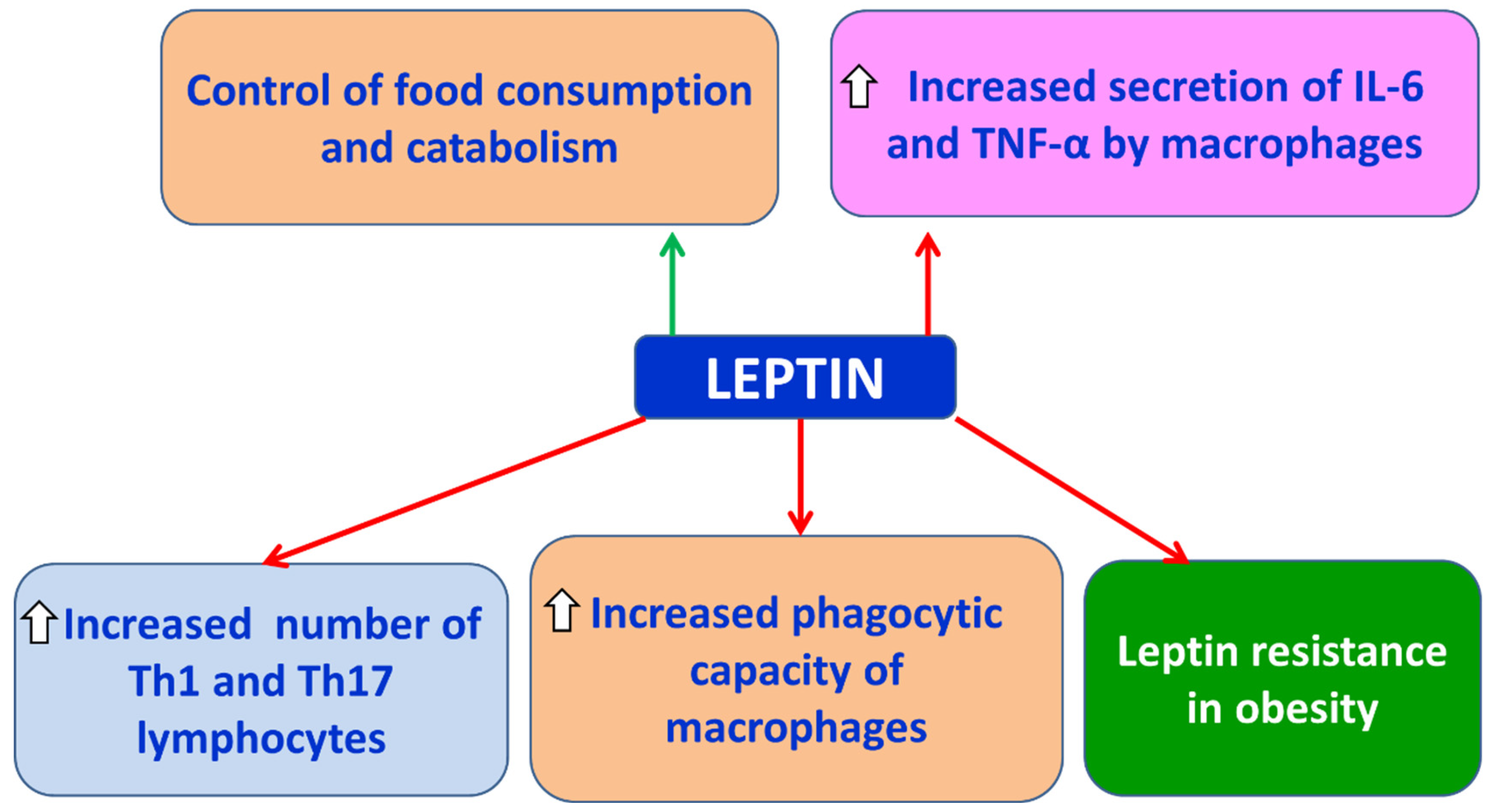 Preprints 179193 g004