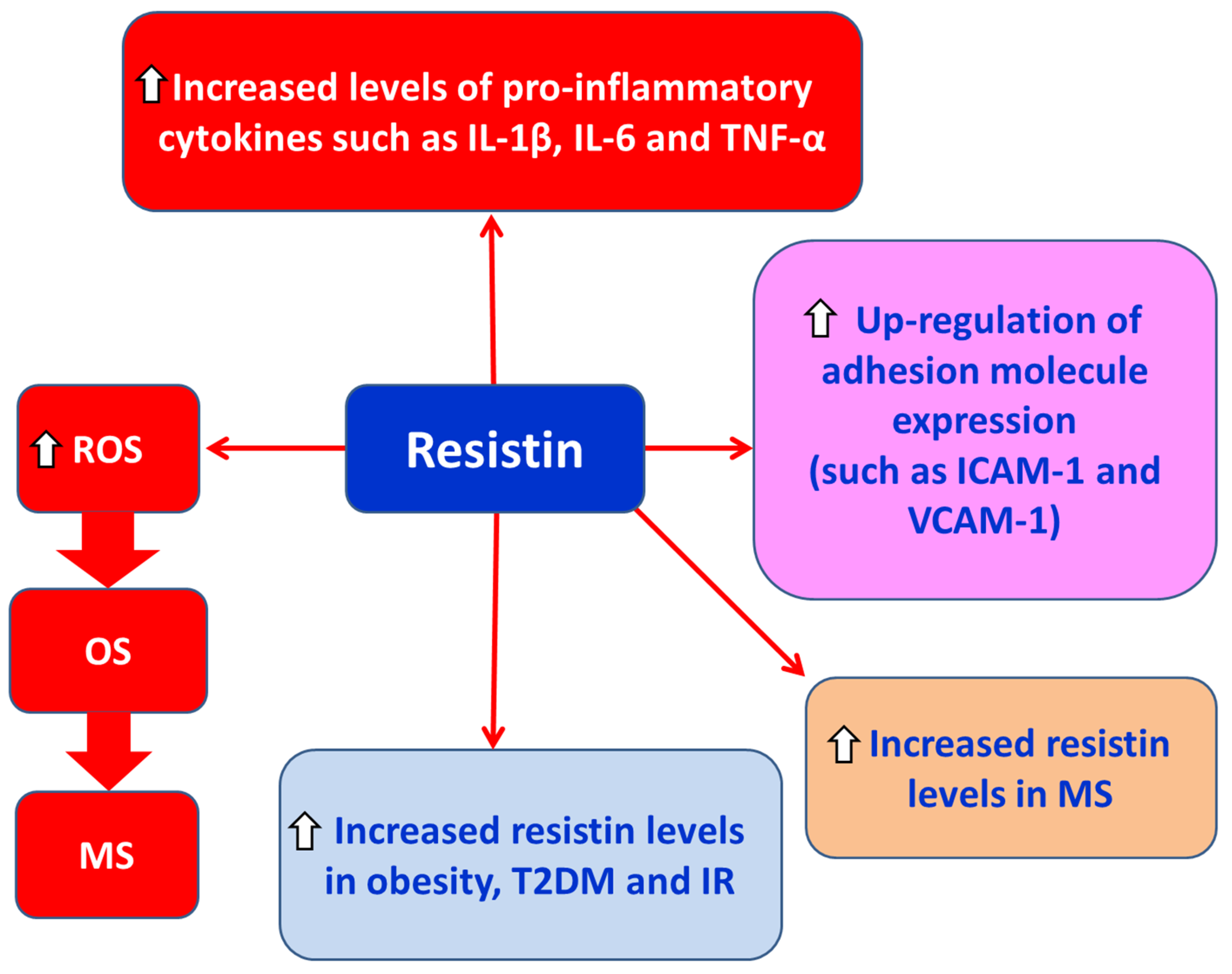 Preprints 179193 g006