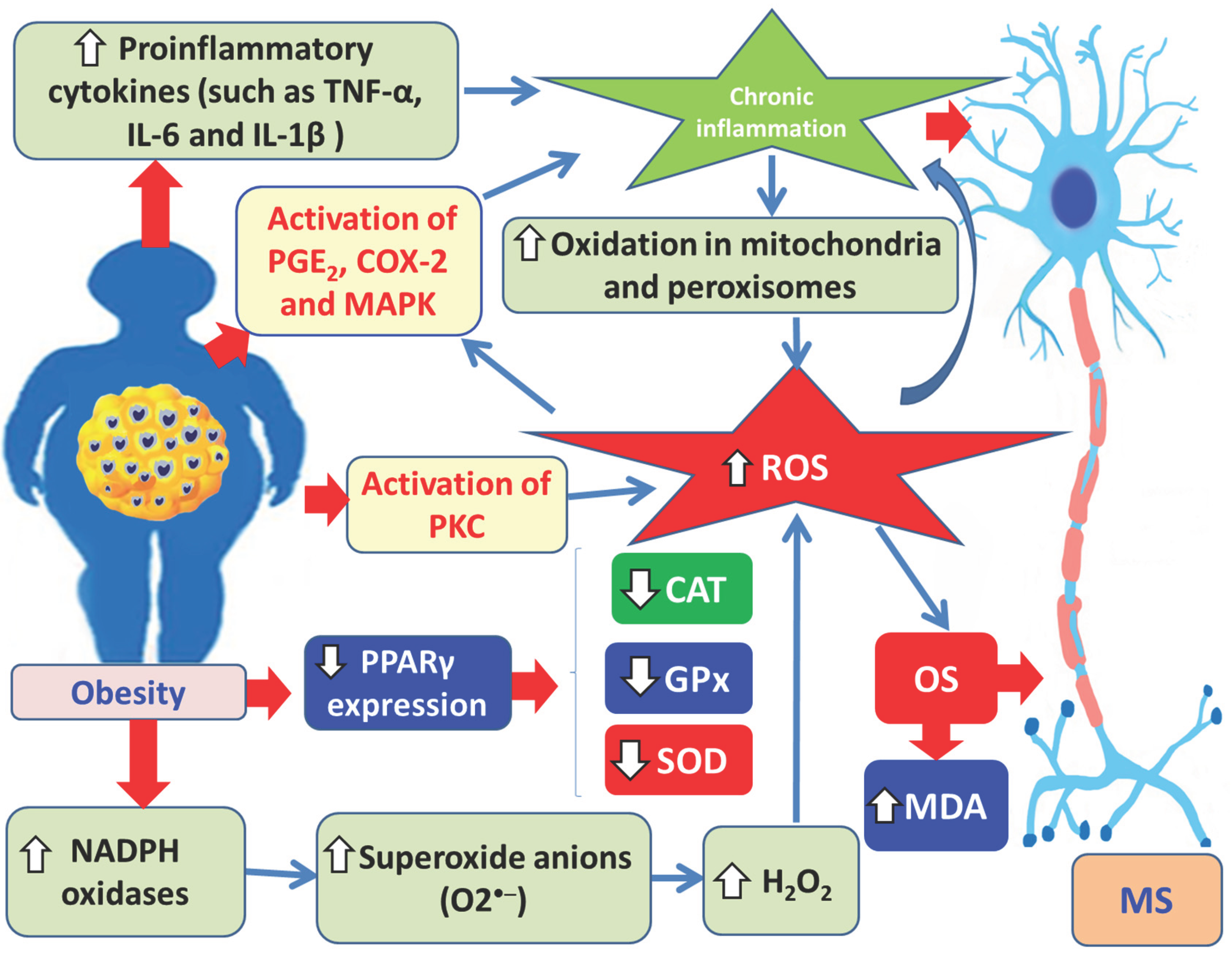 Preprints 179193 g009
