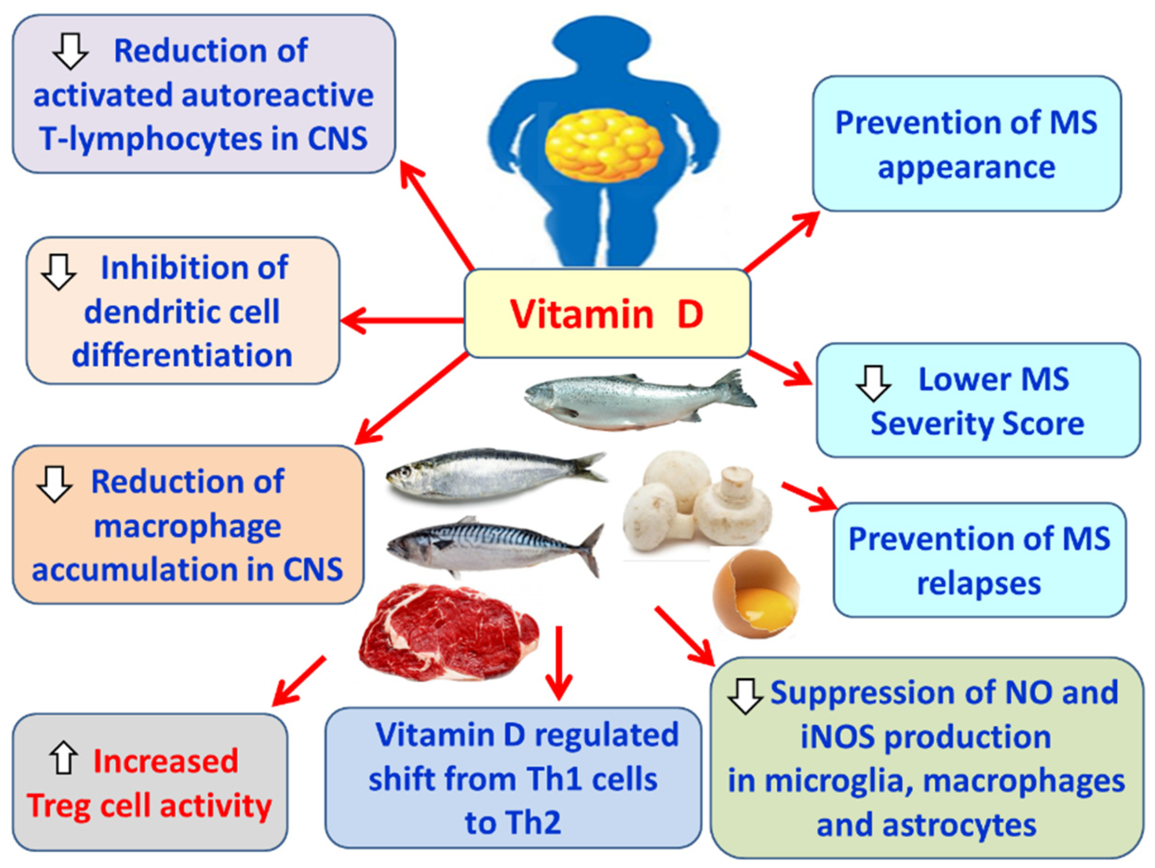 Preprints 179193 g010