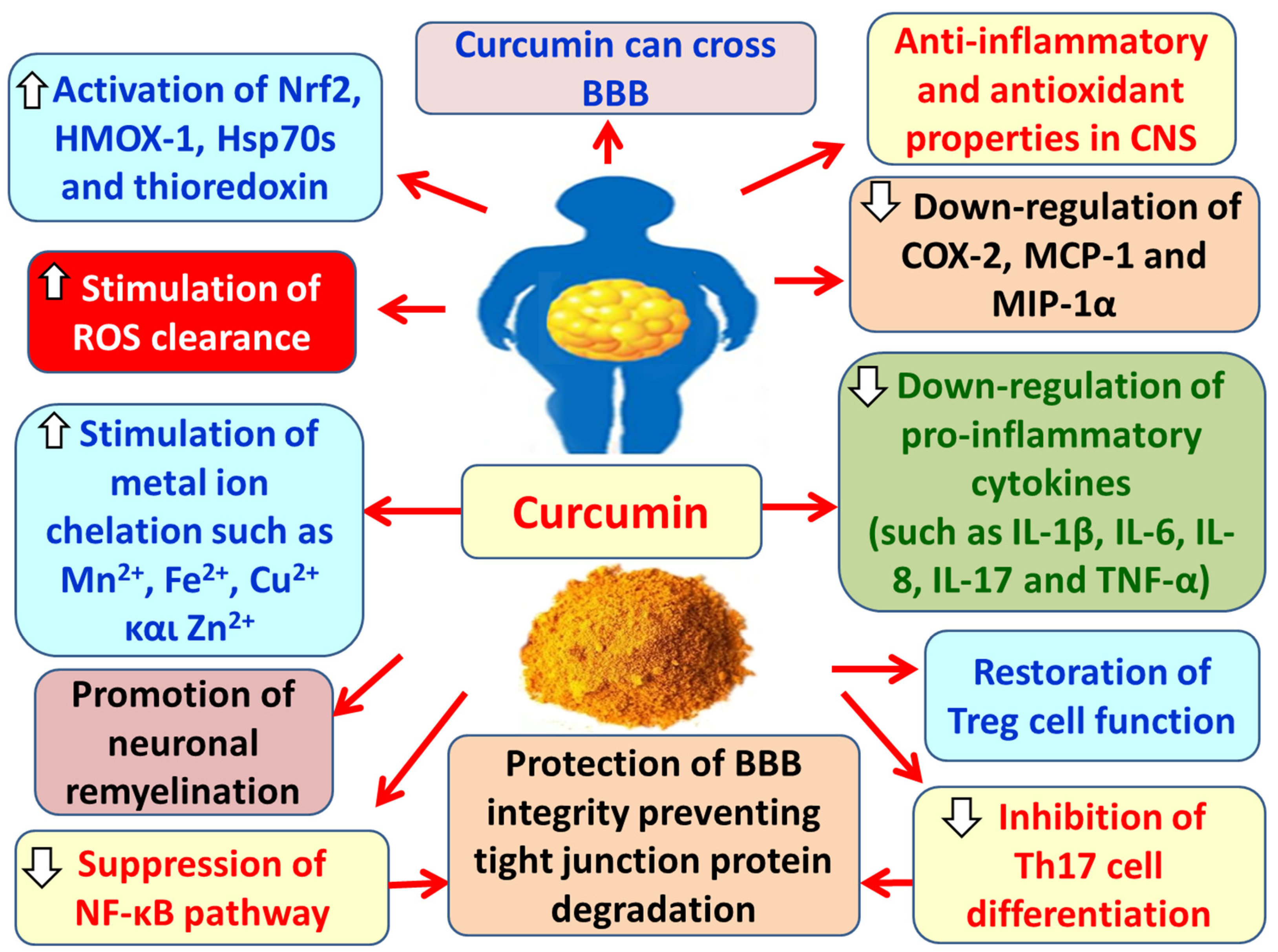 Preprints 179193 g012