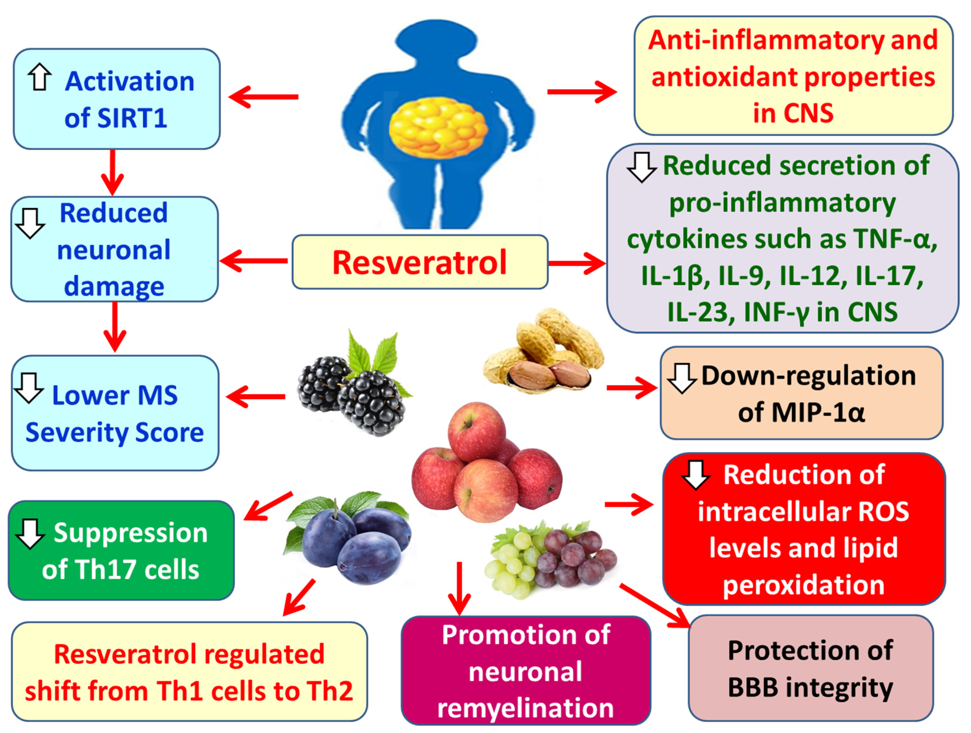 Preprints 179193 g013