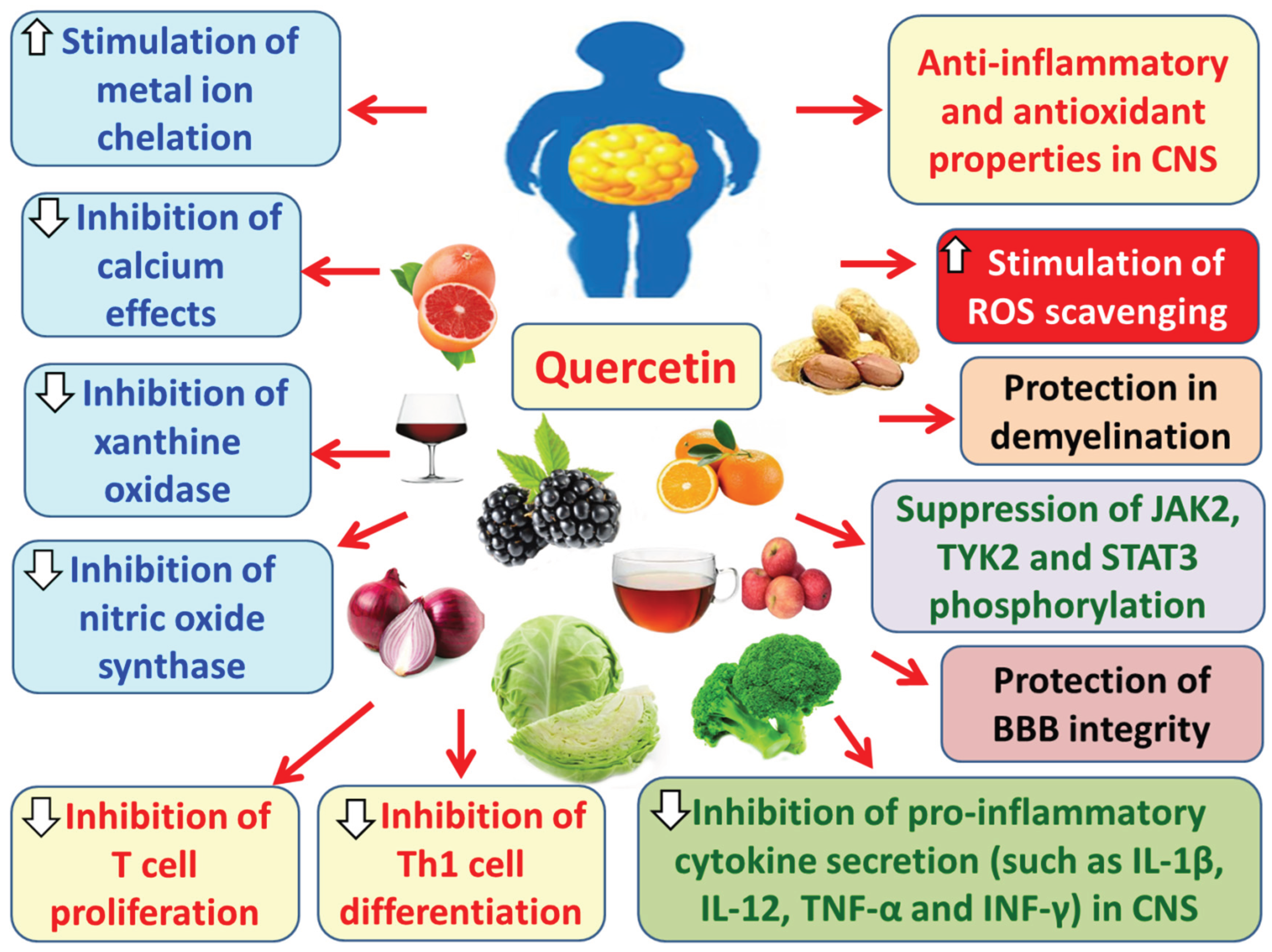 Preprints 179193 g014