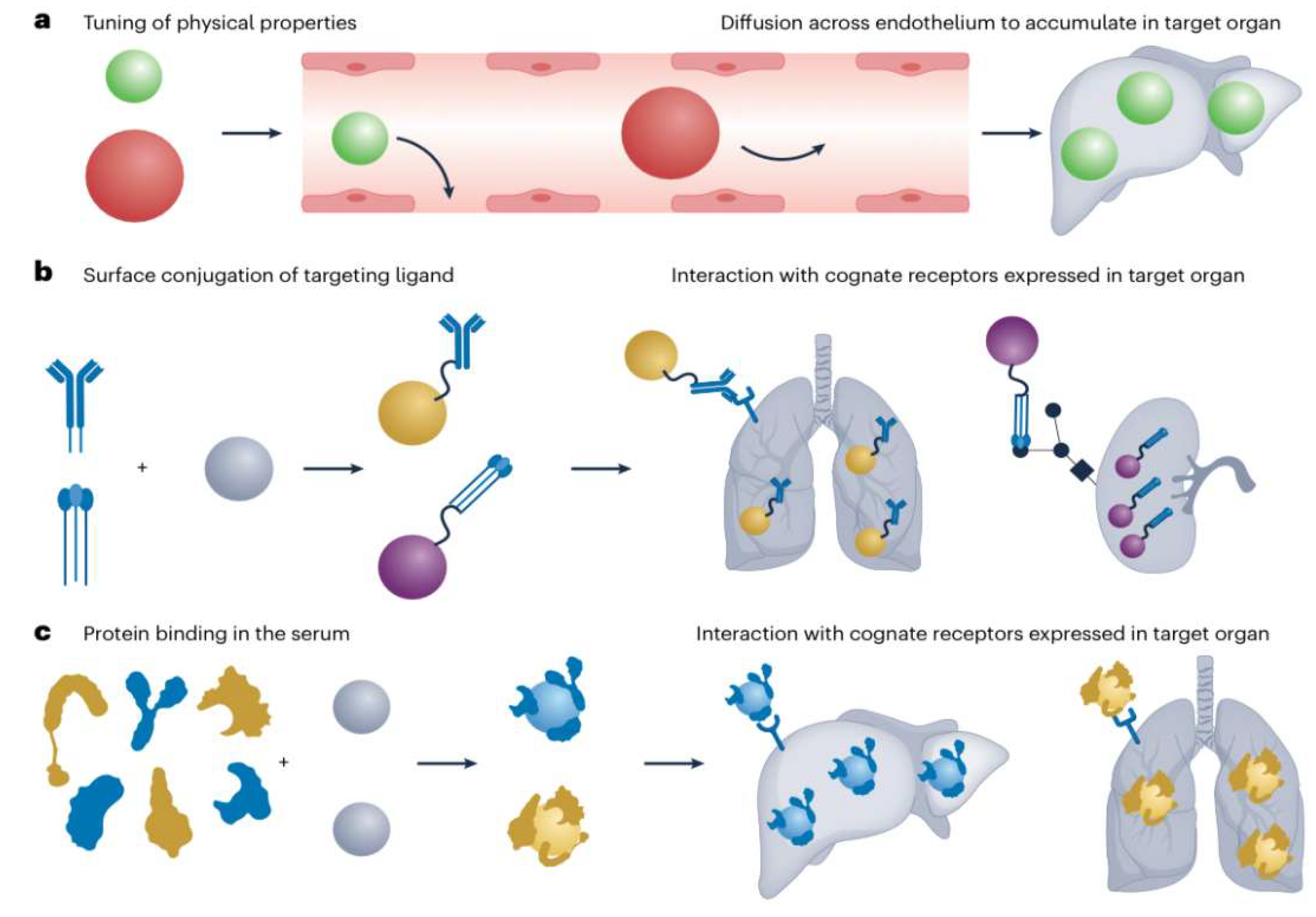 Preprints 180434 g008