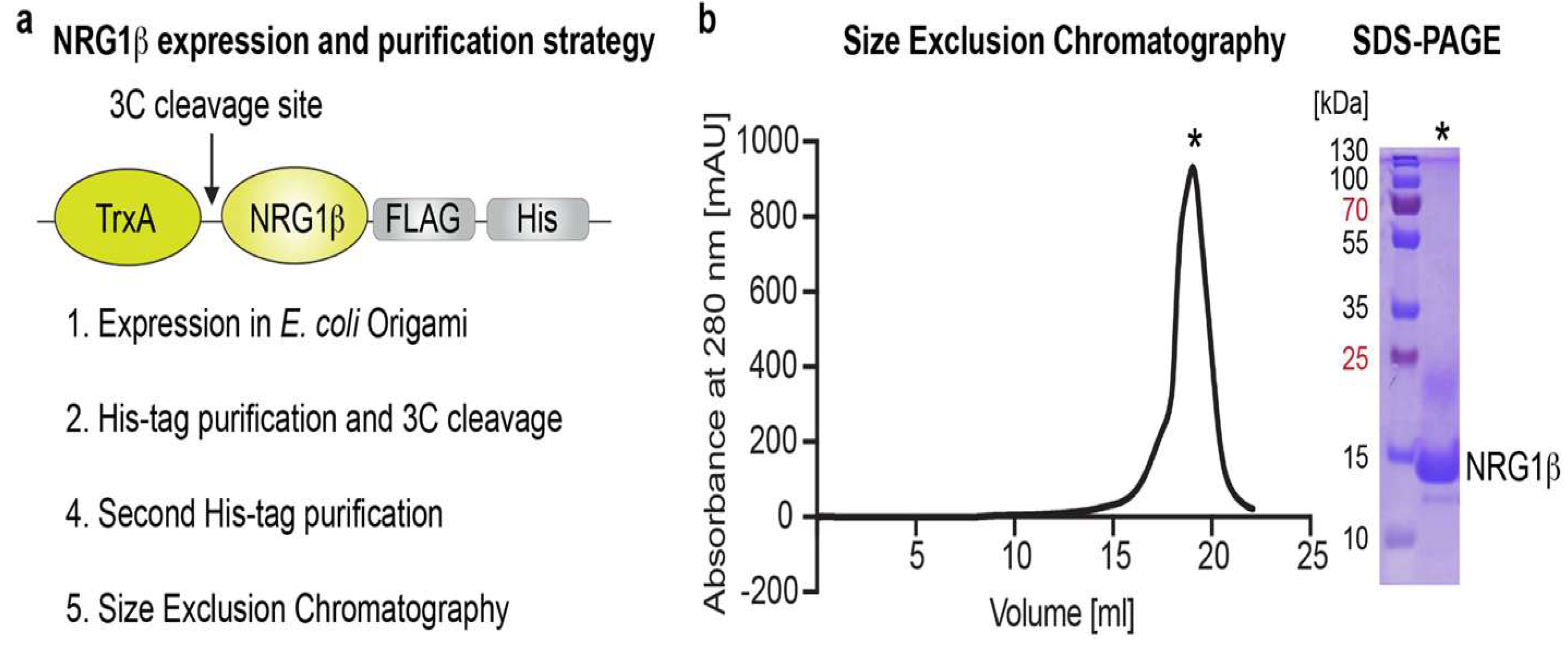 Preprints 180434 g009