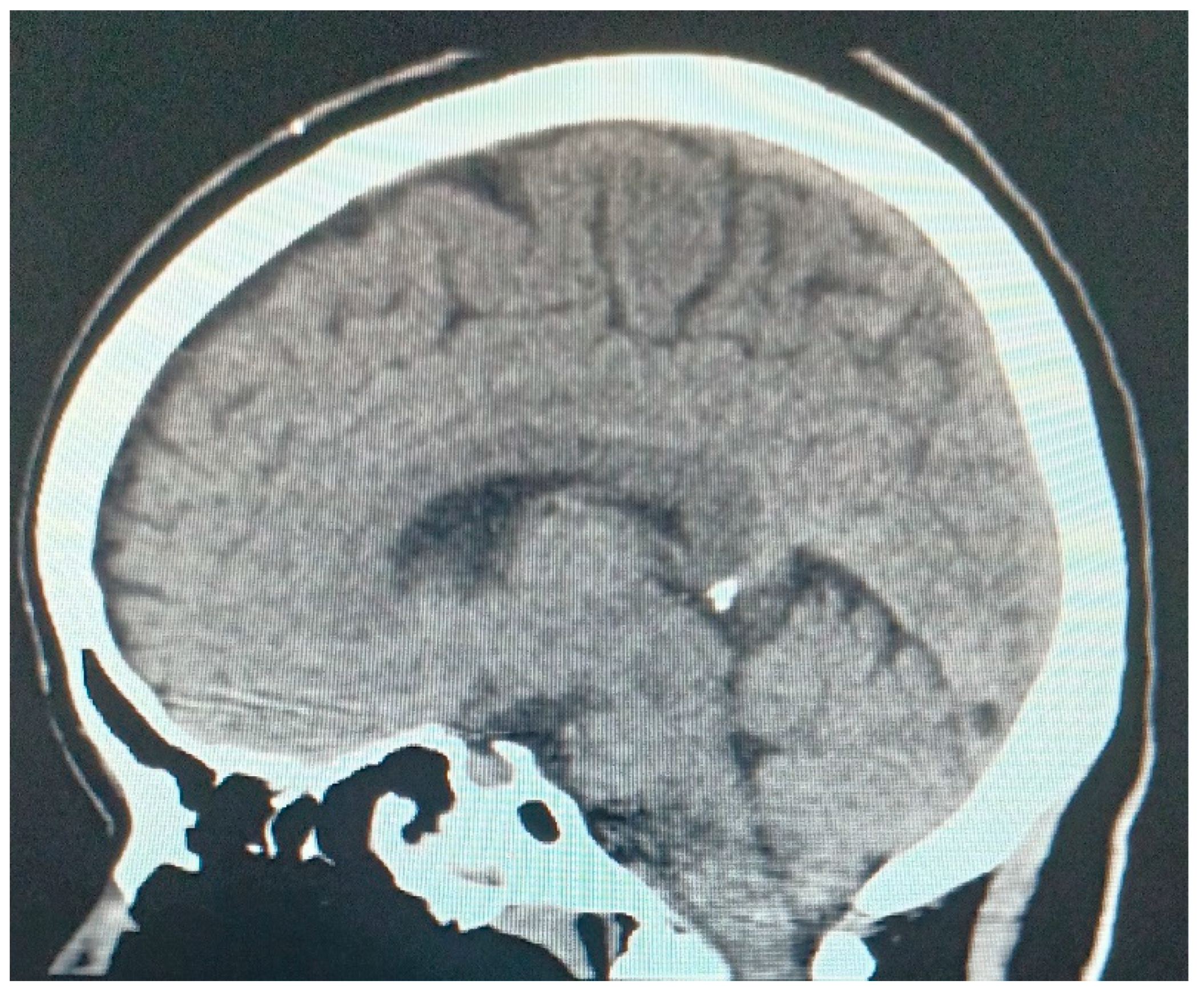 Preprints 147371 g001