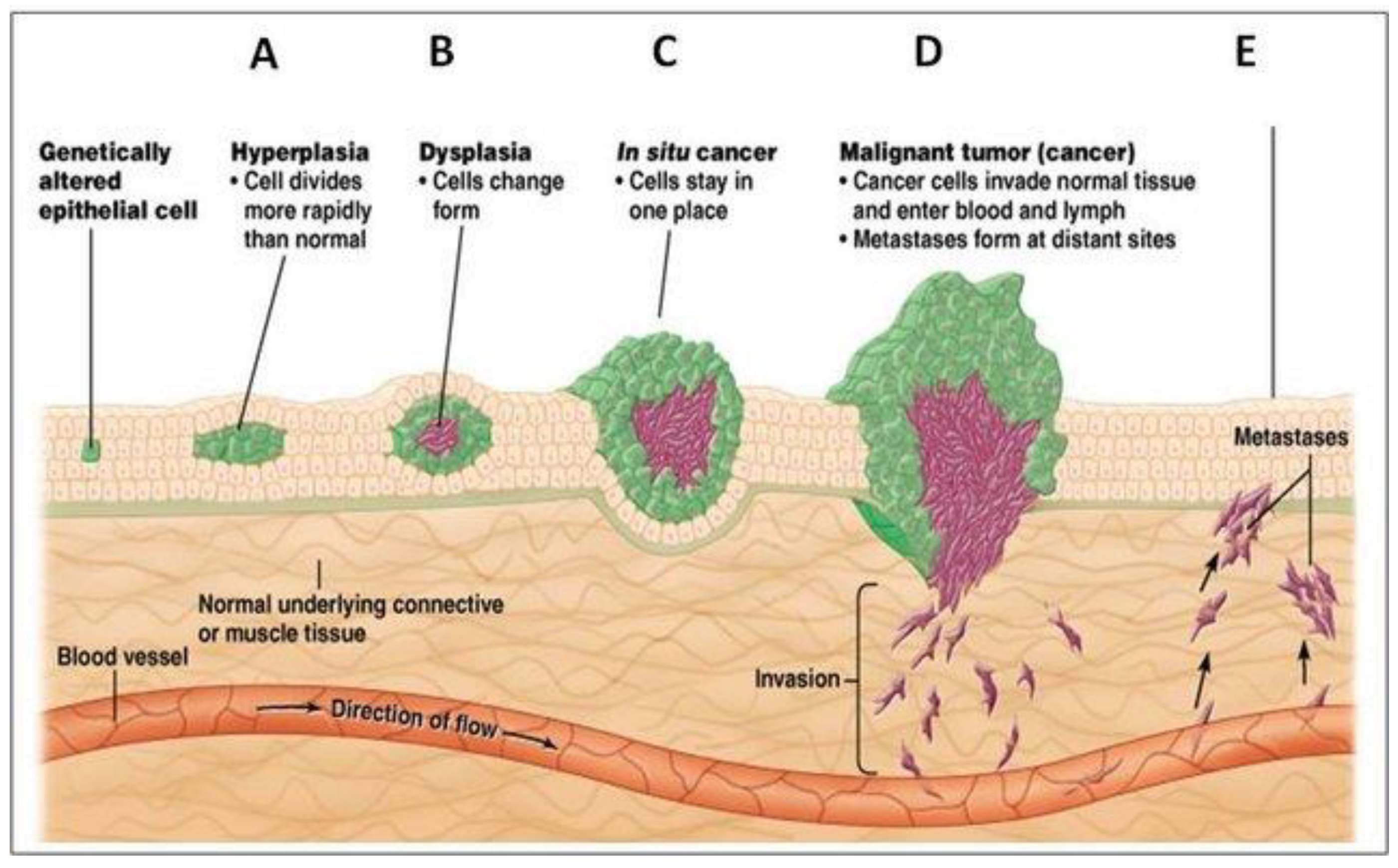 Preprints 155817 g001
