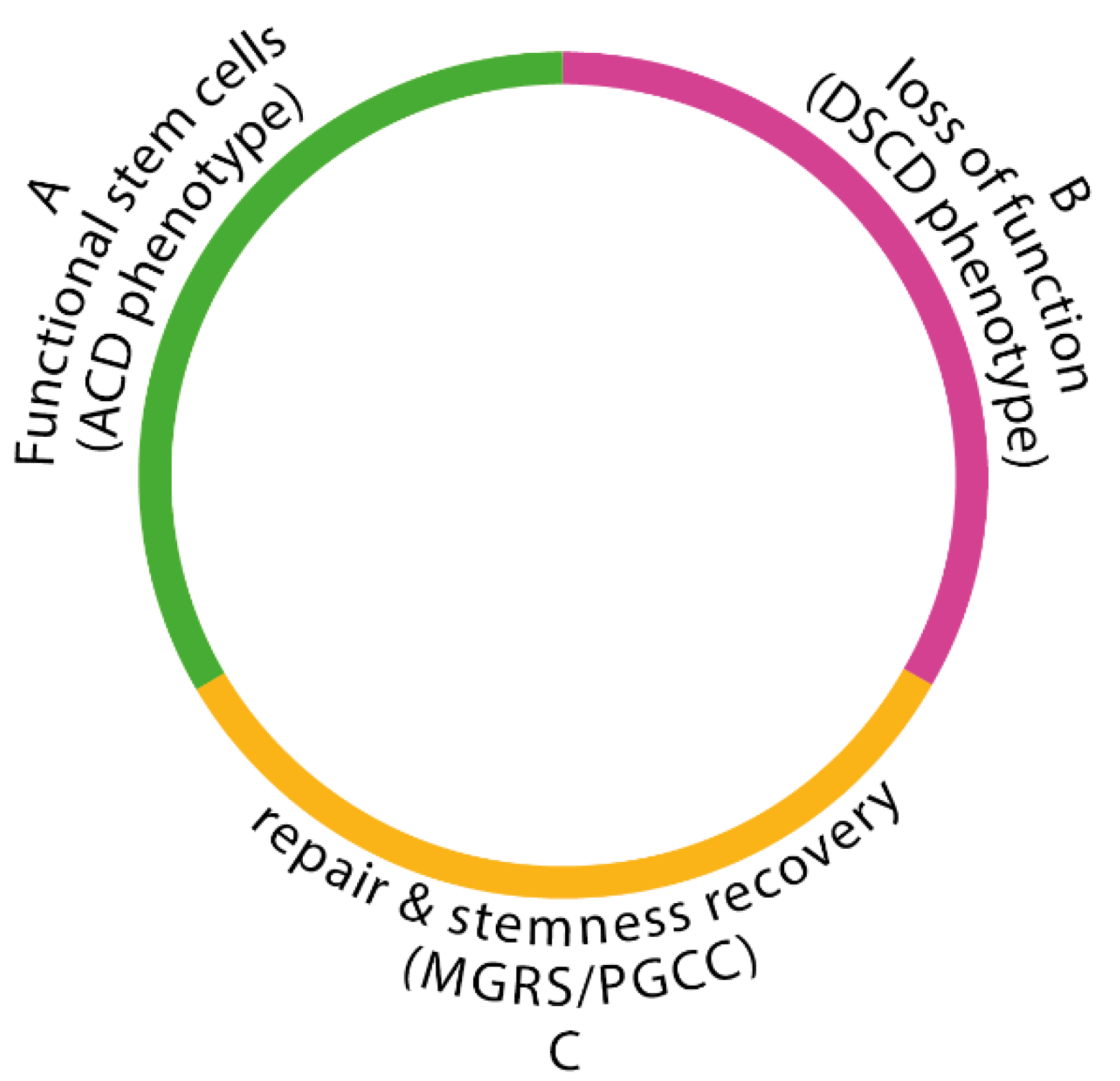 Preprints 155817 g003