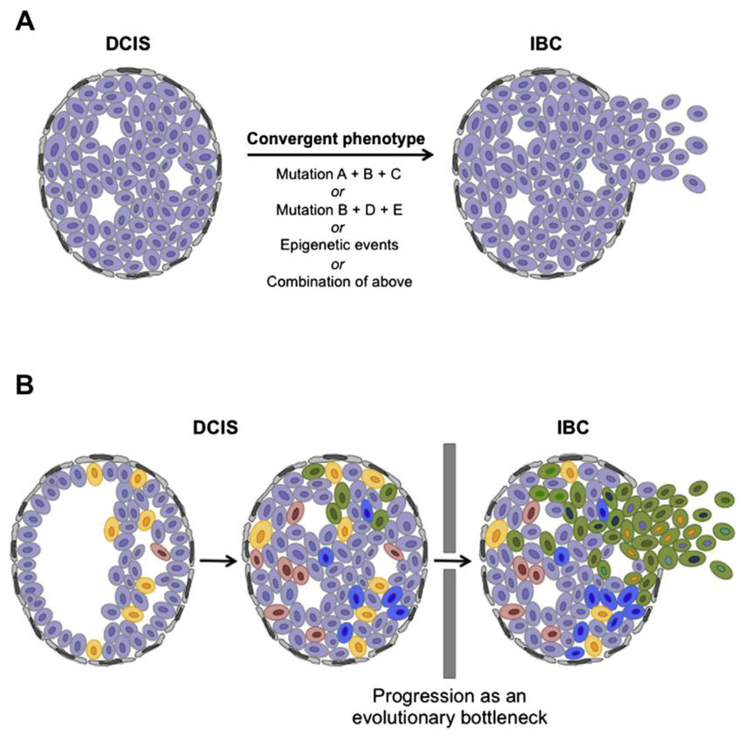 Preprints 155817 g004
