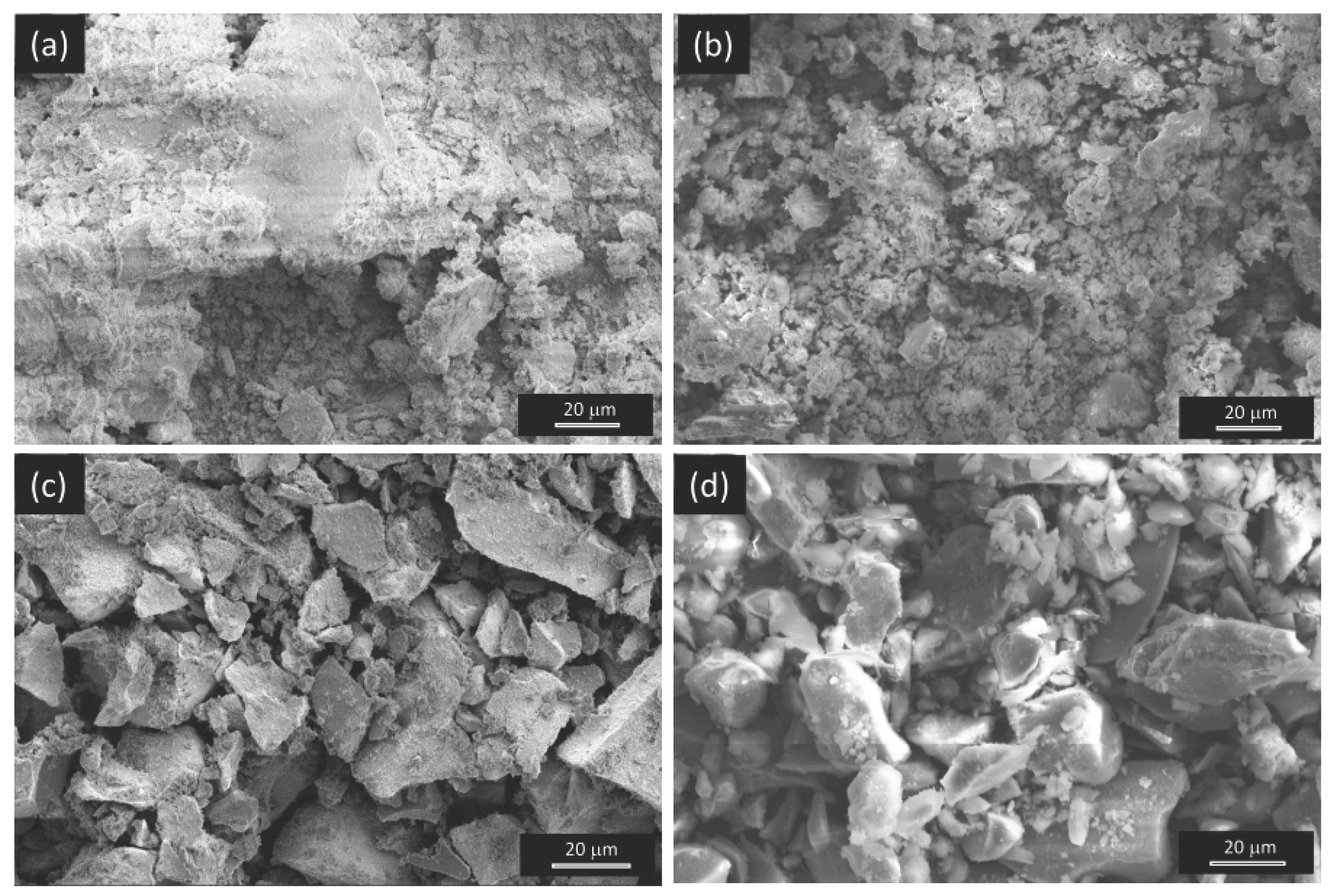 Preprints 163636 g001a