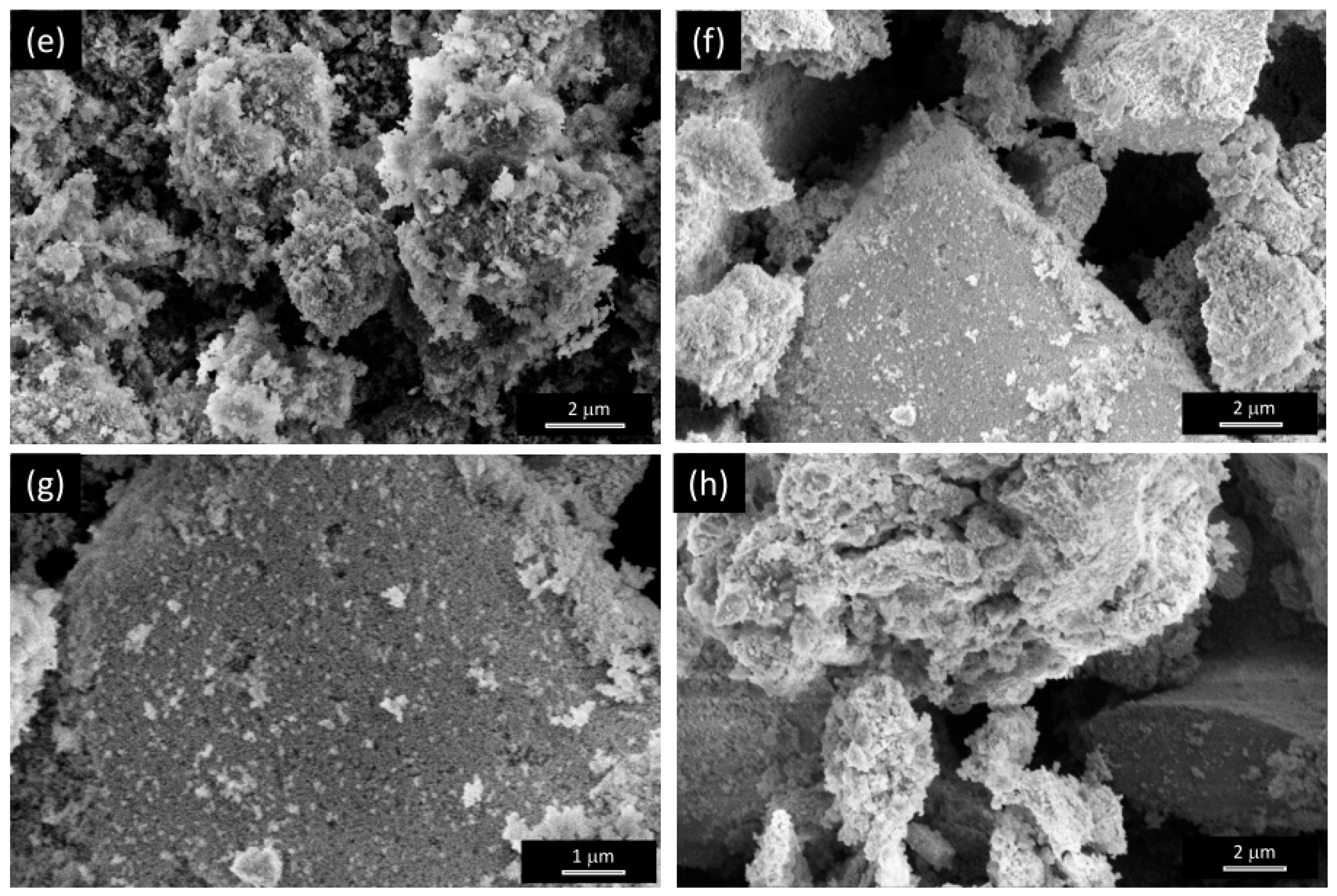 Preprints 163636 g001b