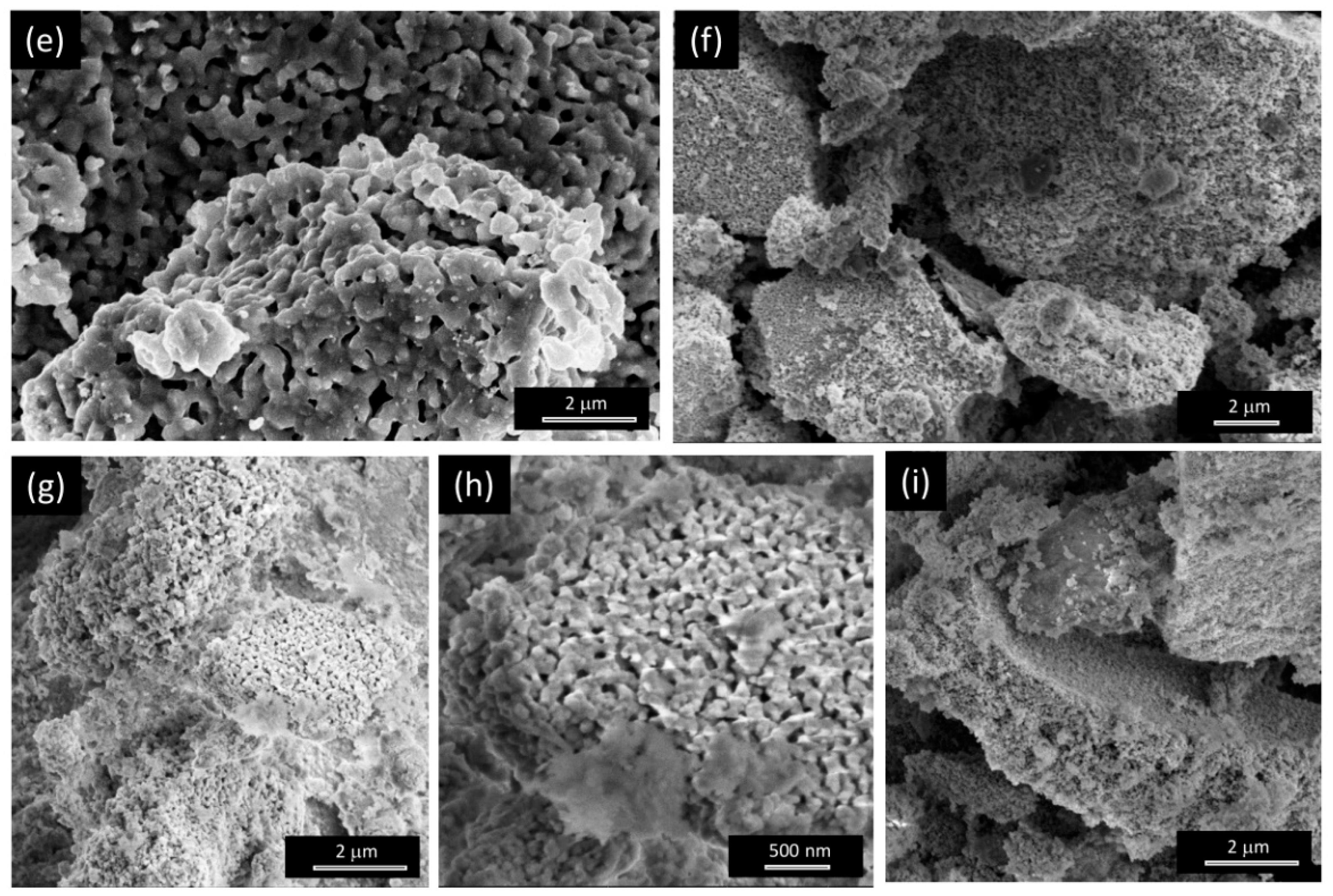 Preprints 163636 g003b