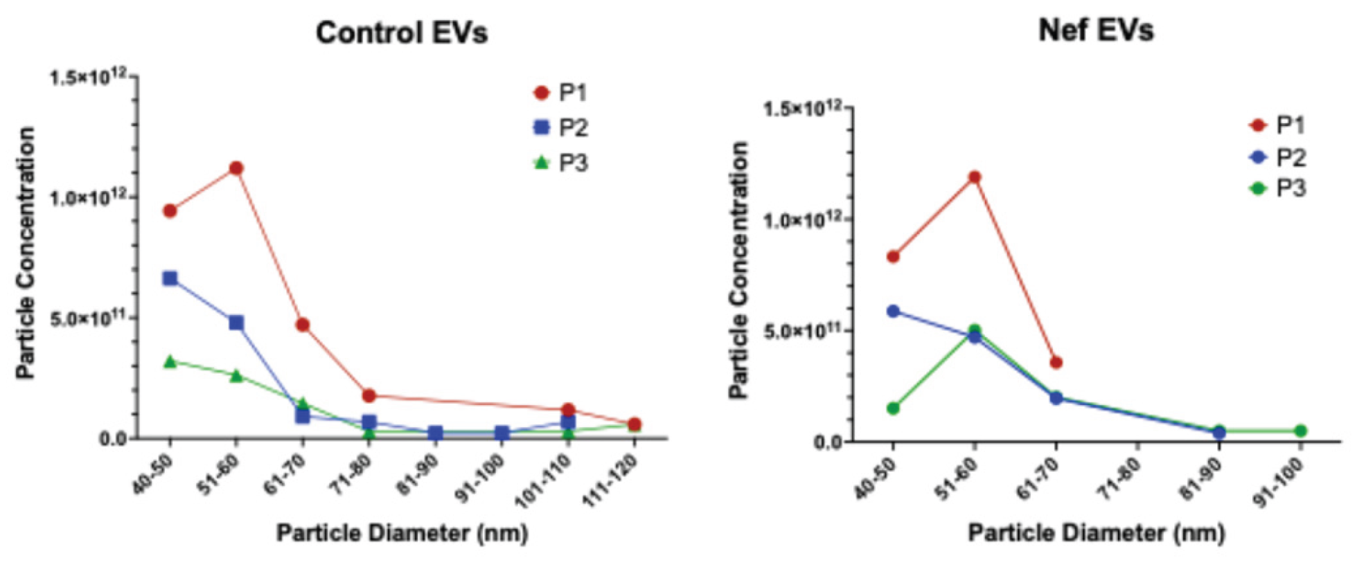 Preprints 190989 g0a1