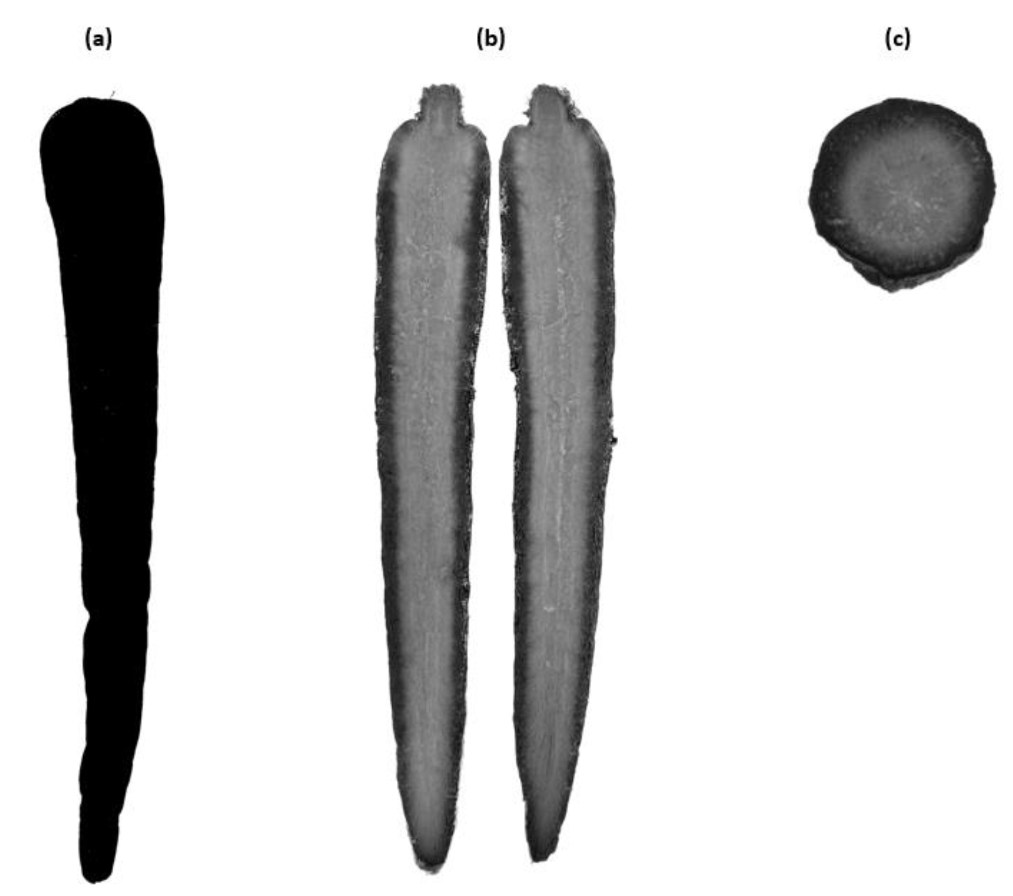 Preprints 90574 g005