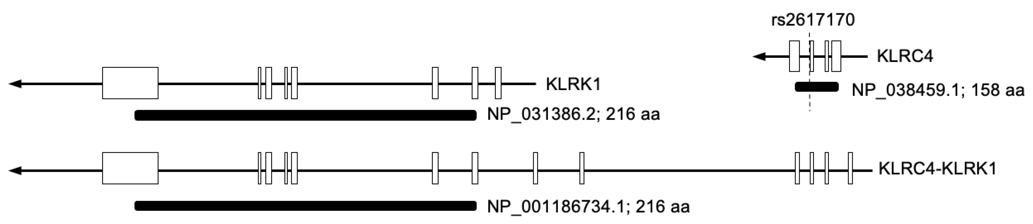 Preprints 202174 g002 Preprints 202174 g002