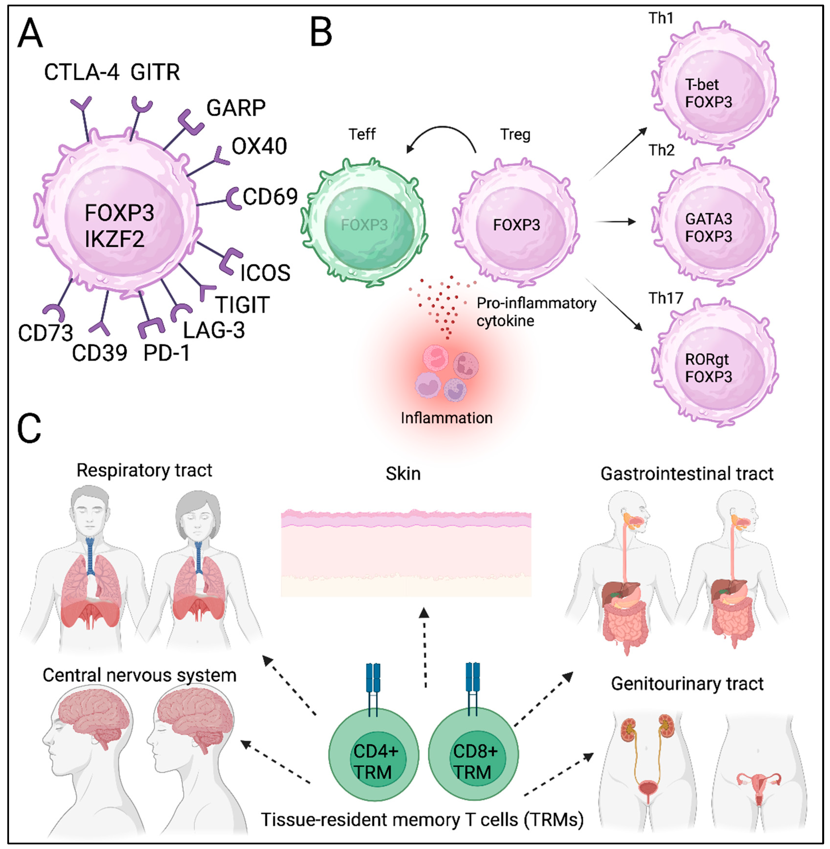Preprints 158406 g001