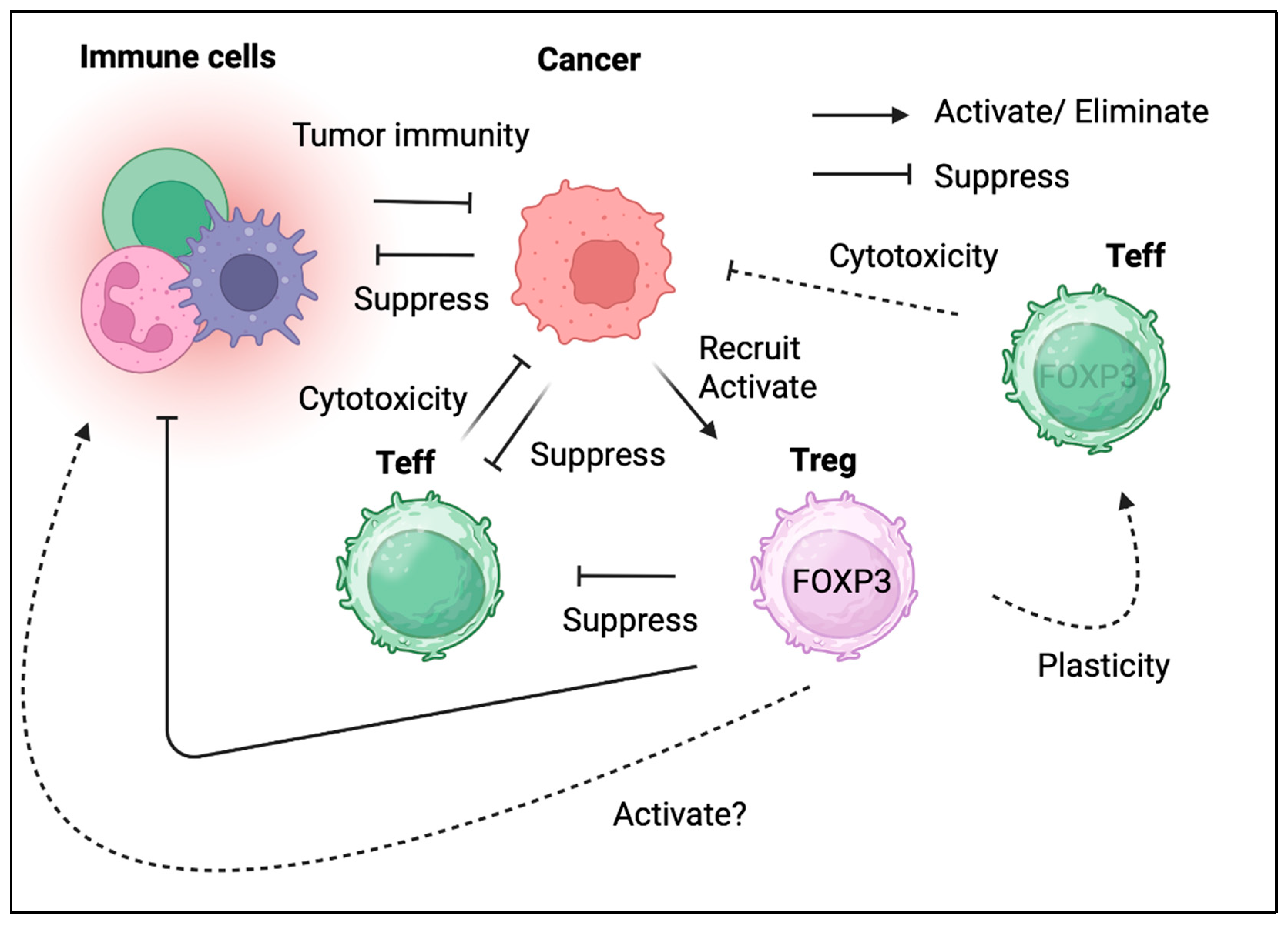 Preprints 158406 g002