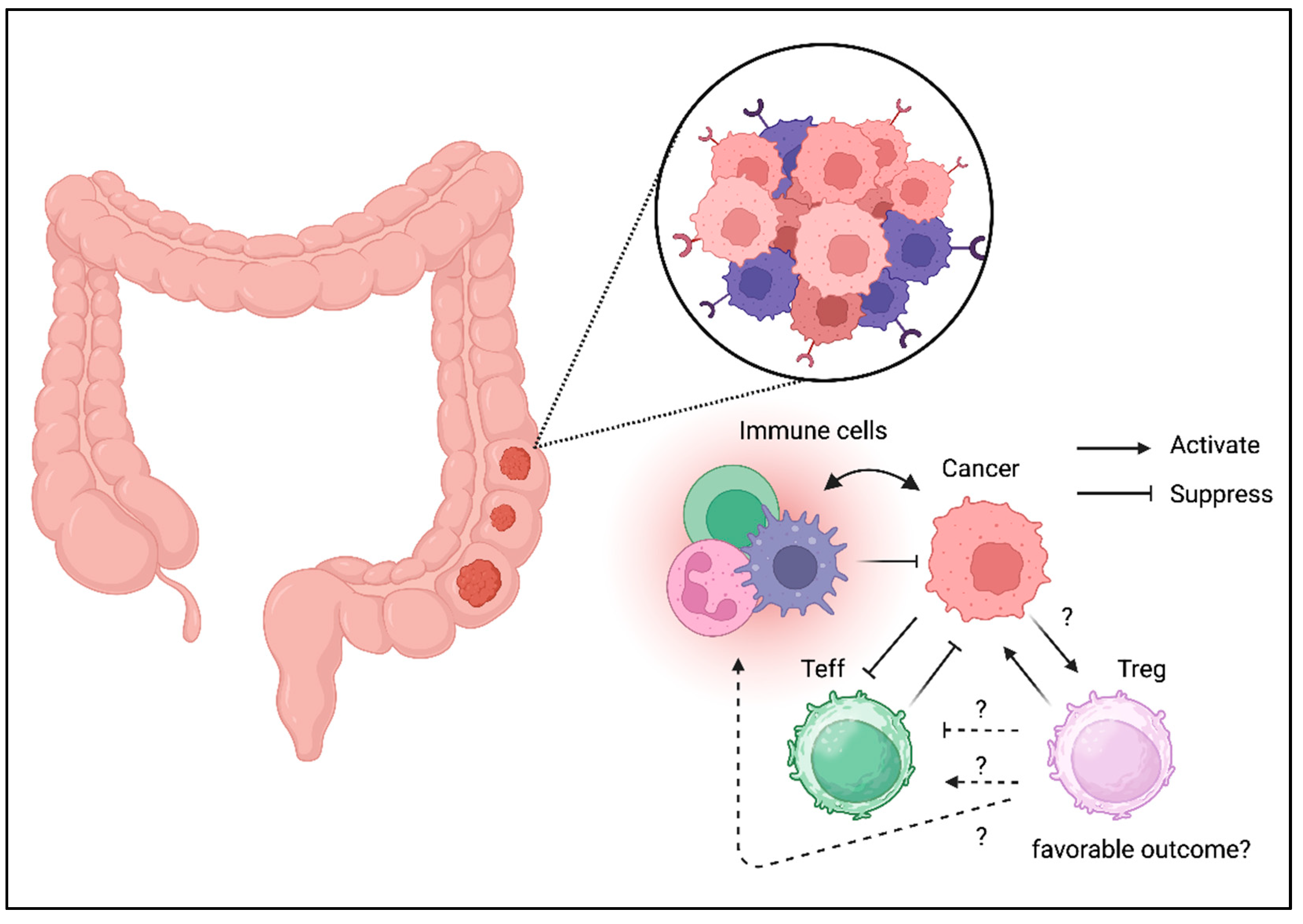 Preprints 158406 g003