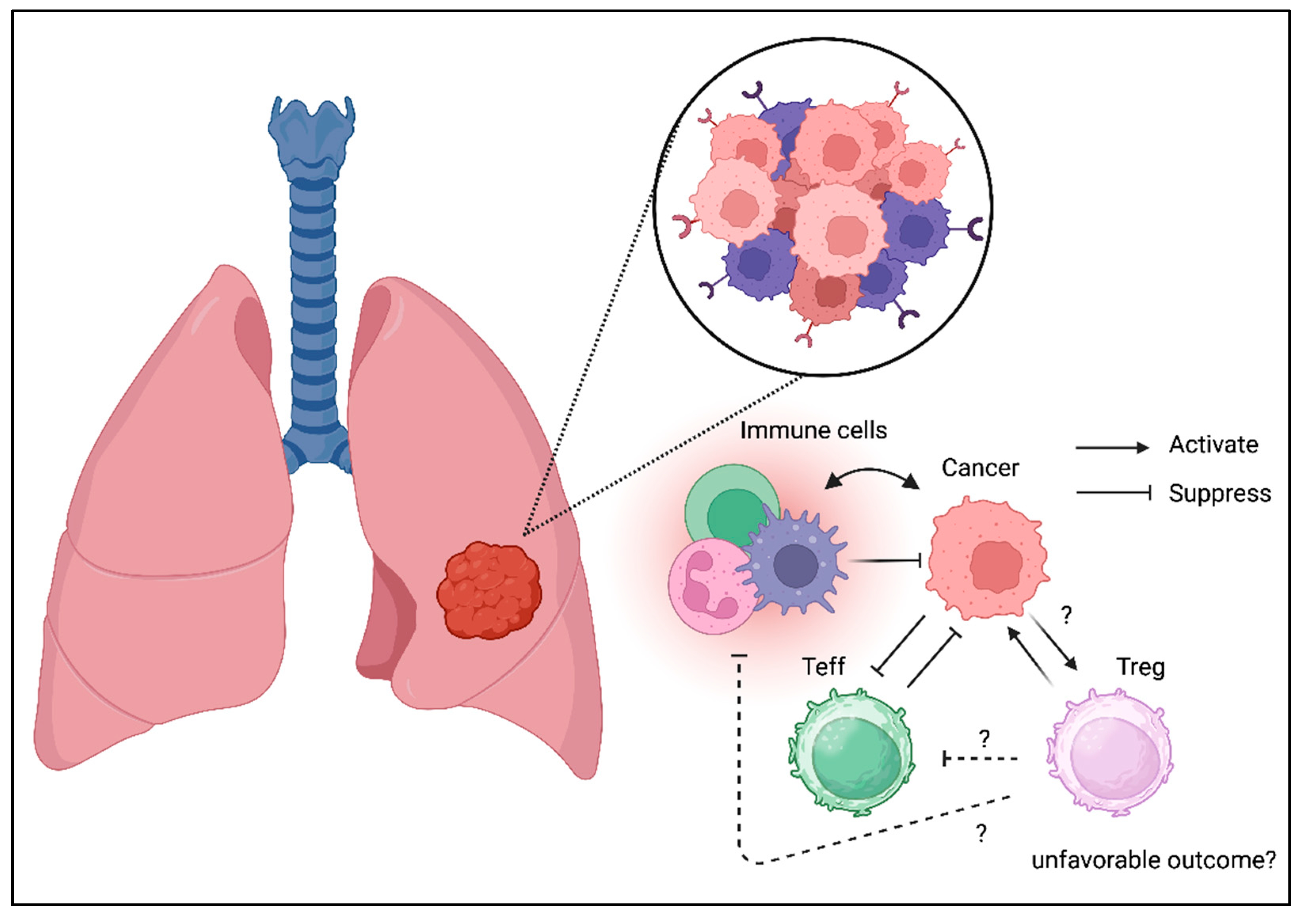 Preprints 158406 g004