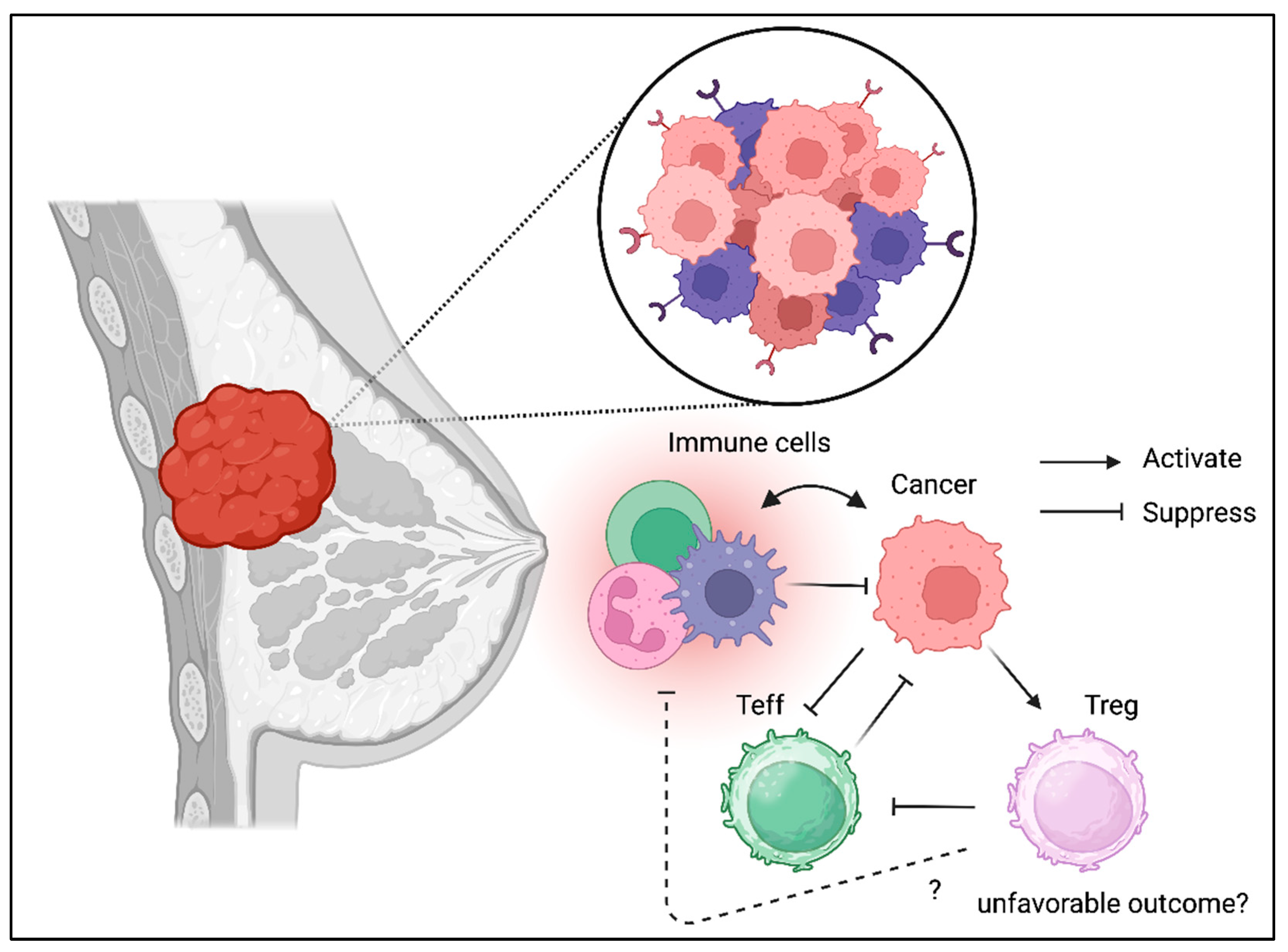 Preprints 158406 g005