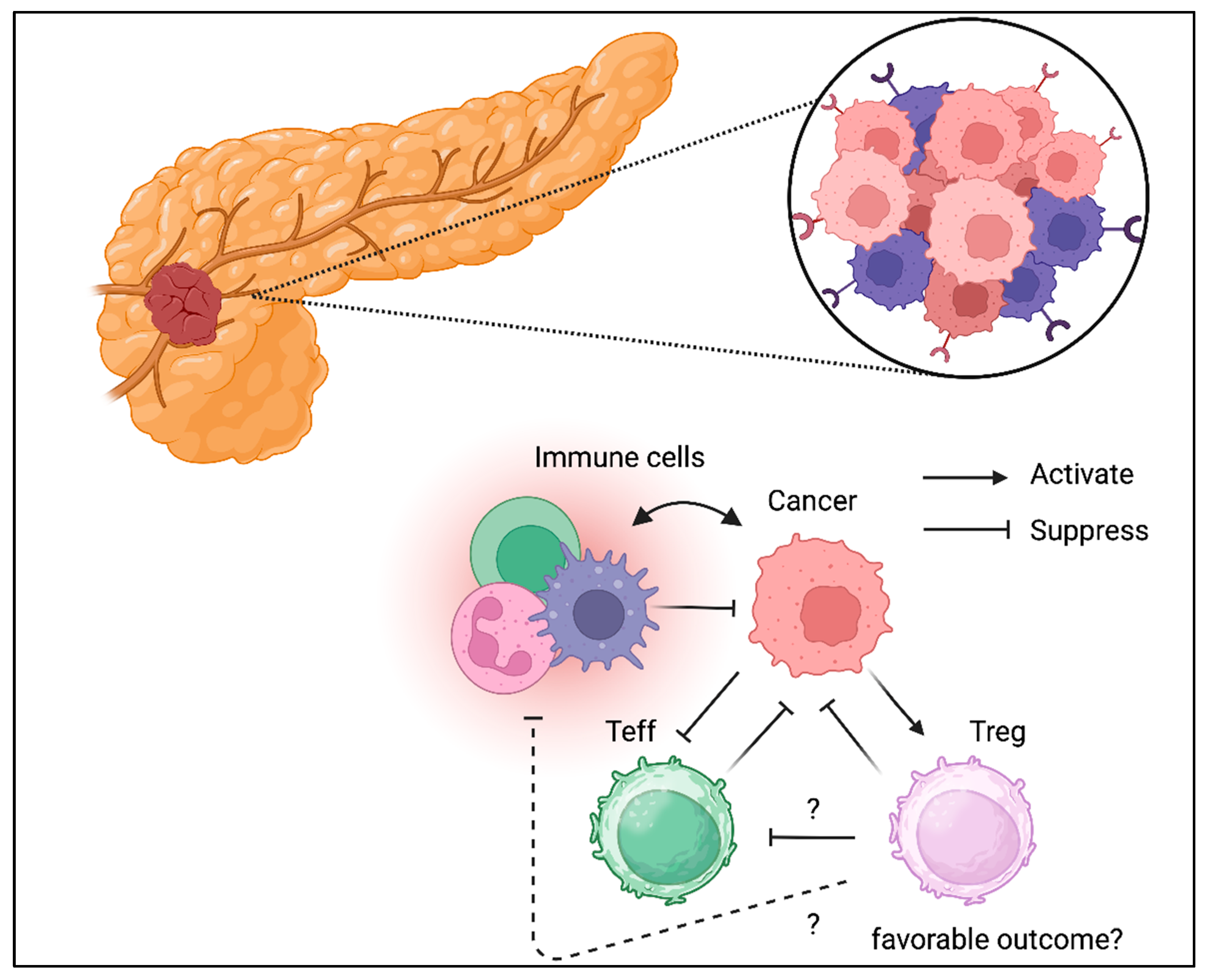 Preprints 158406 g006